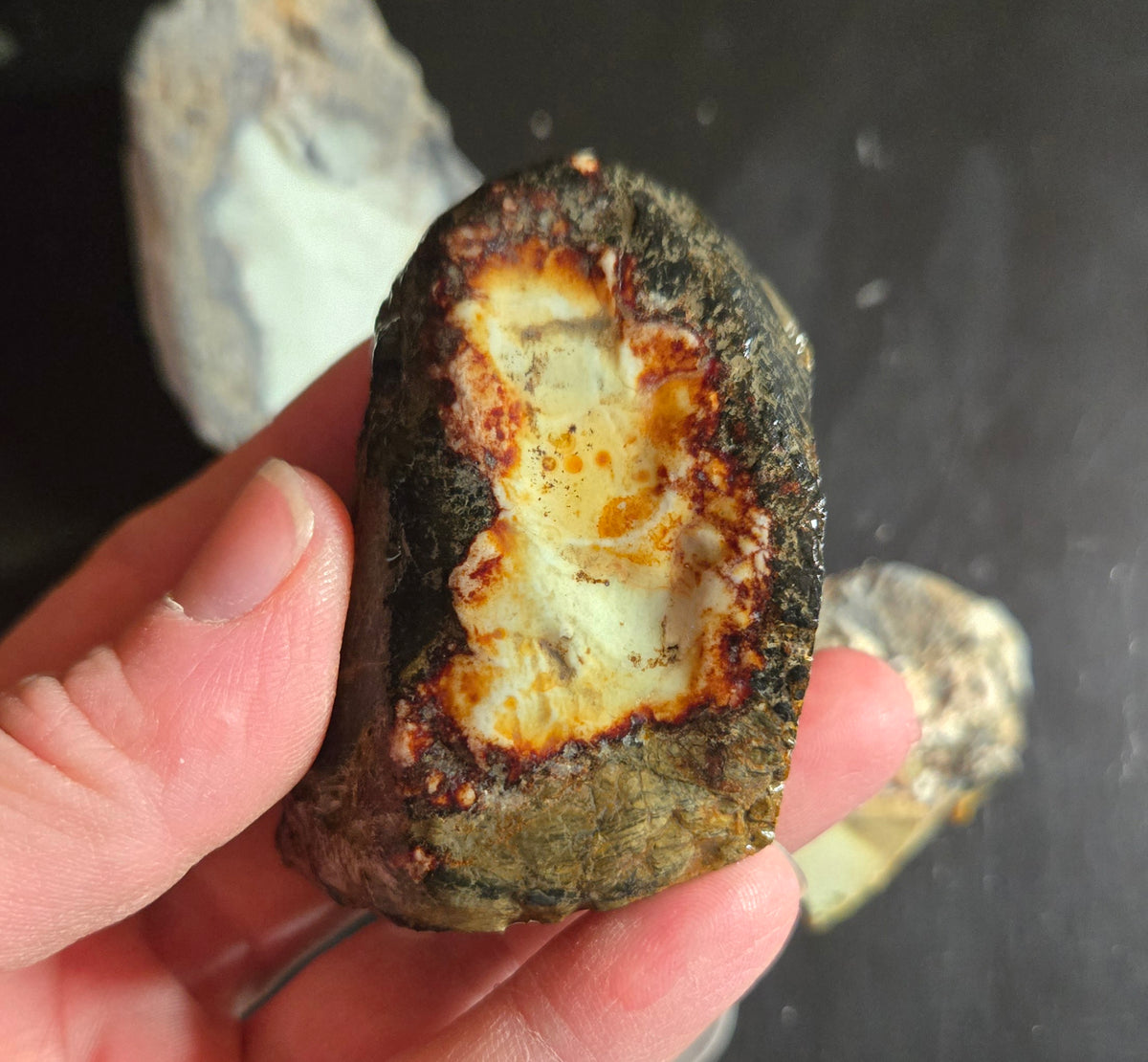 Aloe Variscite rough for cabbing - Natural Nevada Variscite- 400 grams