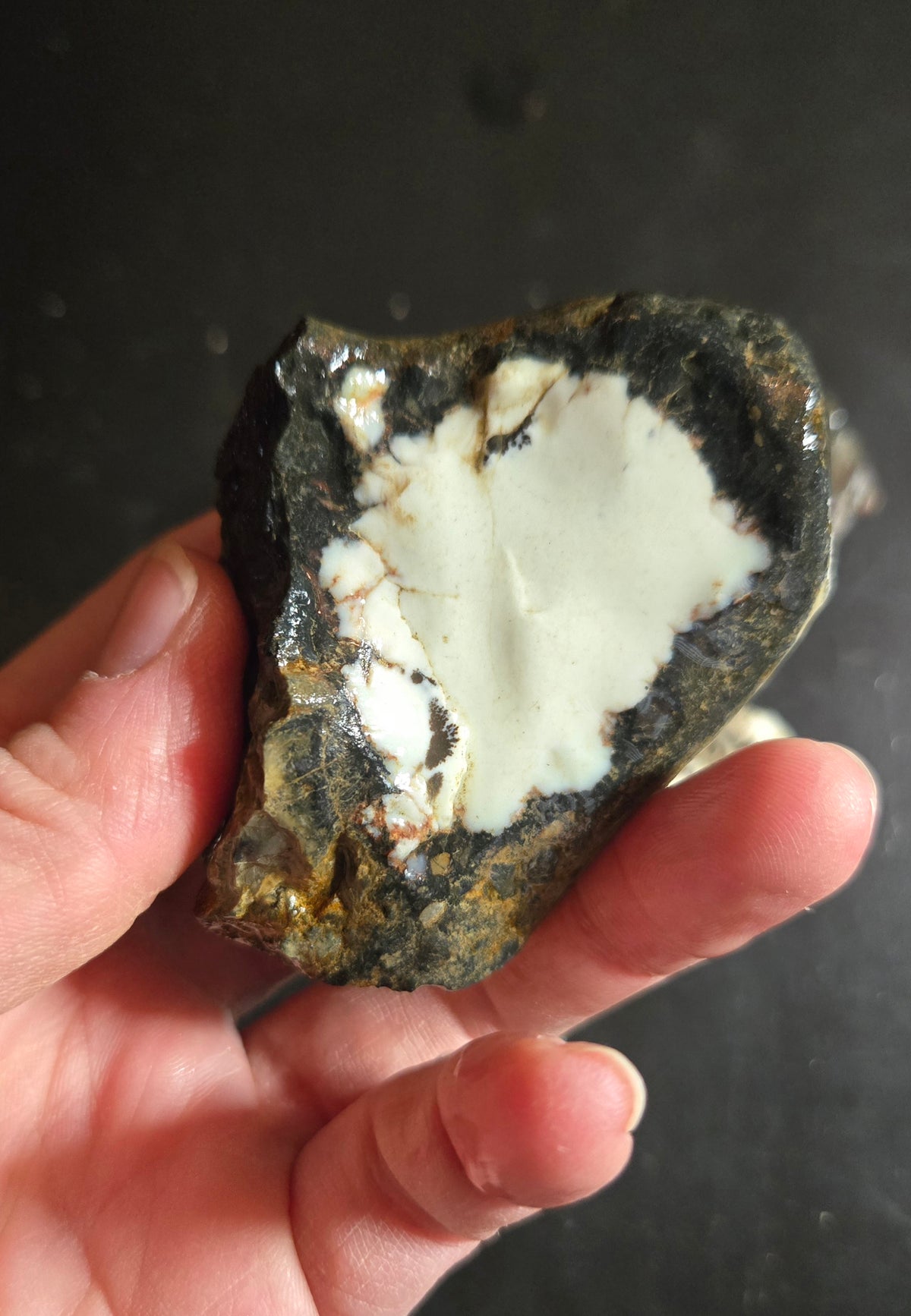 Aloe Variscite rough for cabbing - Natural Nevada Variscite- 400 grams