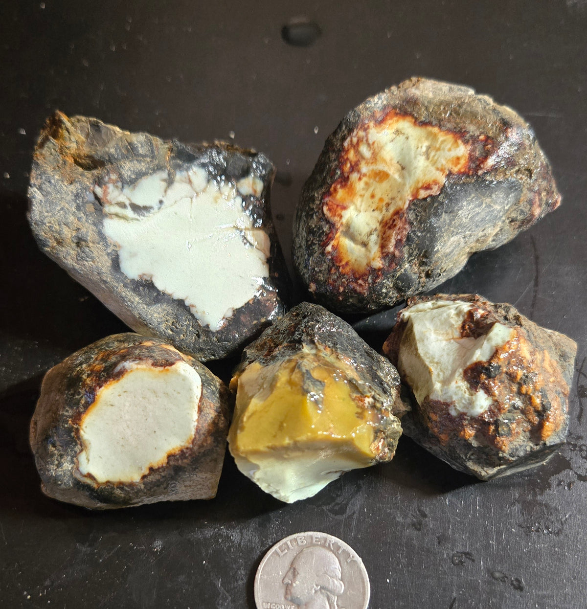 Aloe Variscite rough for cabbing - Natural Nevada Variscite- 400 grams