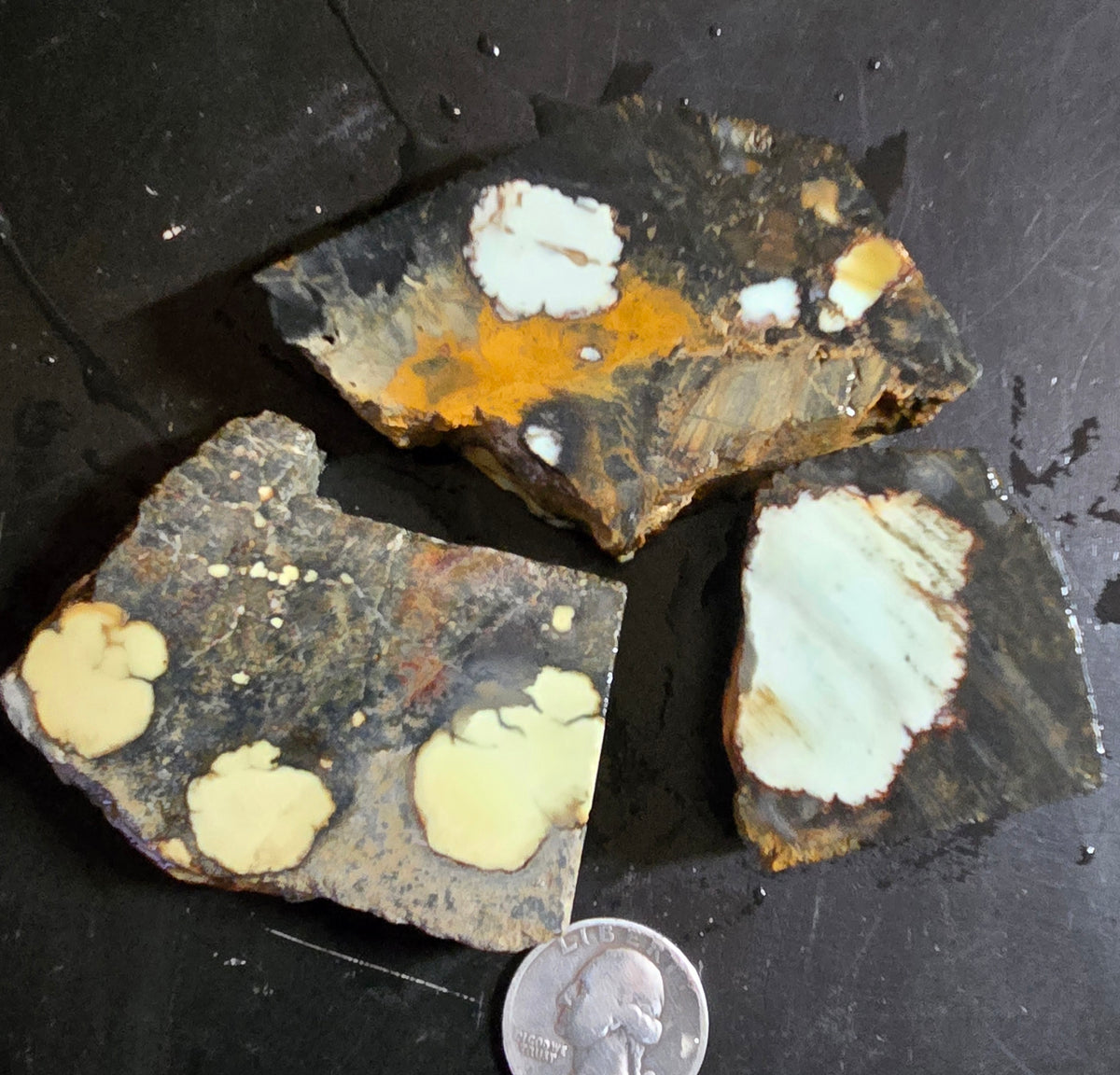 Aloe Variscite rough for cabbing - Natural Nevada Variscite- 205 grams
