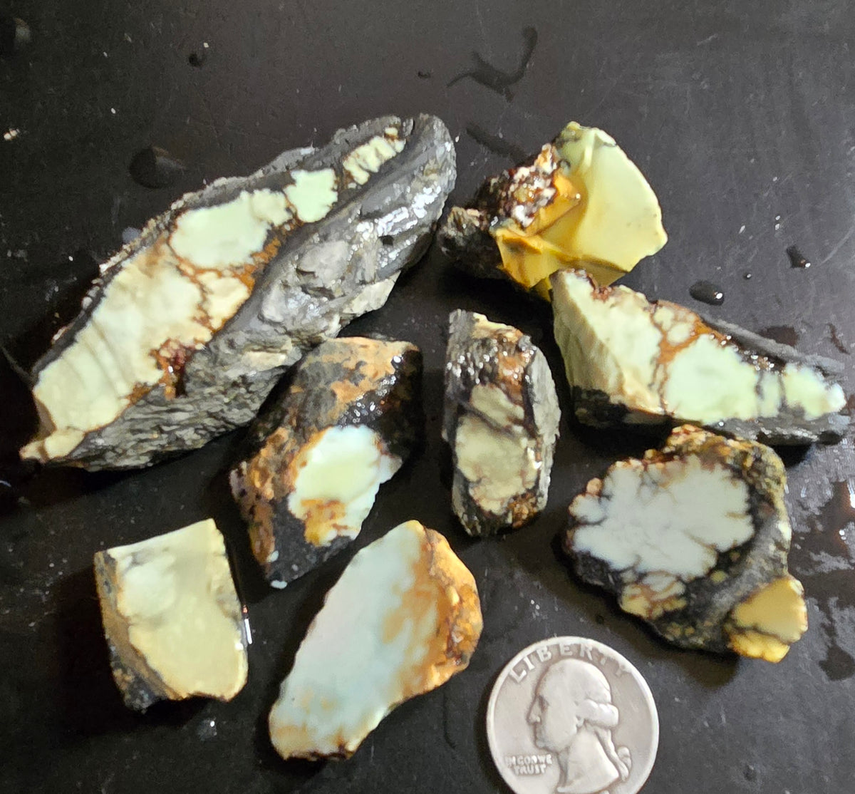Custom for Chuck - Aloe Variscite/Turquoise slabs for cabbing - Natural Nevada Variscite -  3 separate lots
