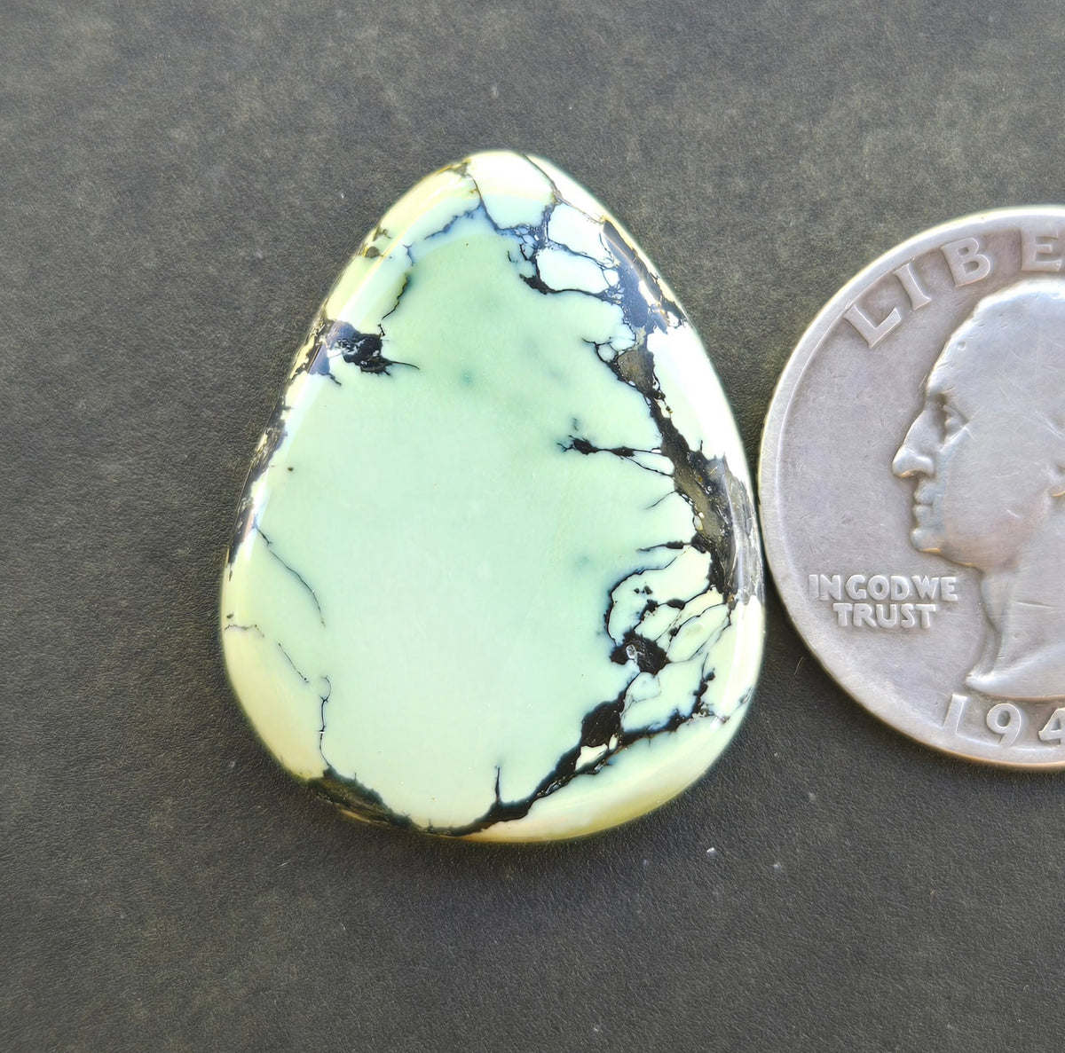 Gecko Variscite Cabochon