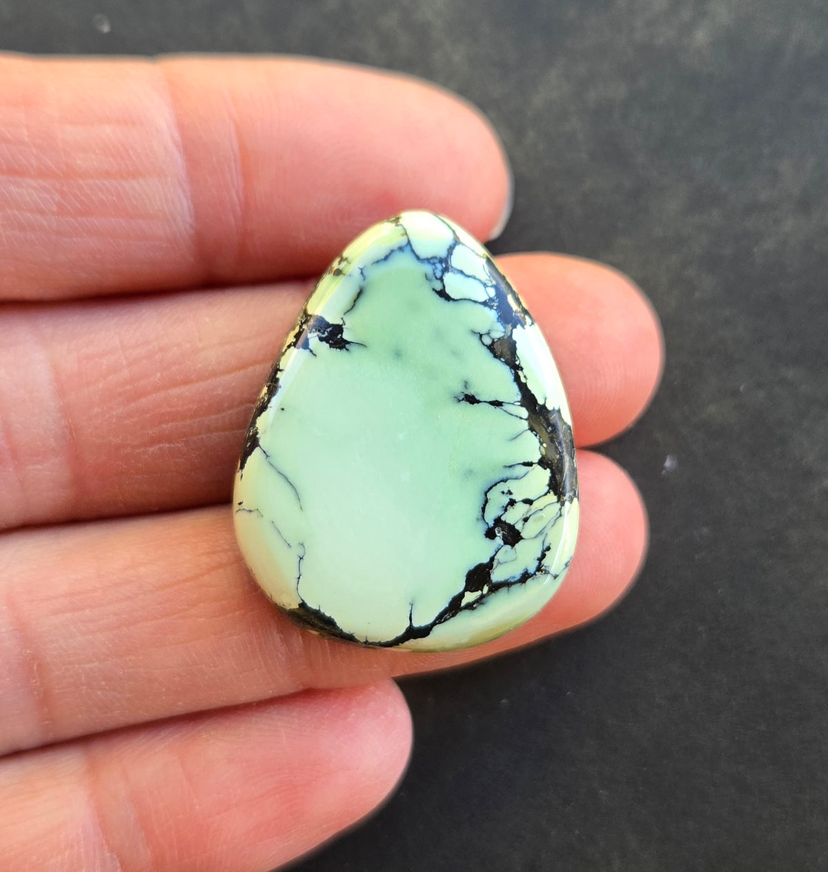 Gecko Variscite Cabochon
