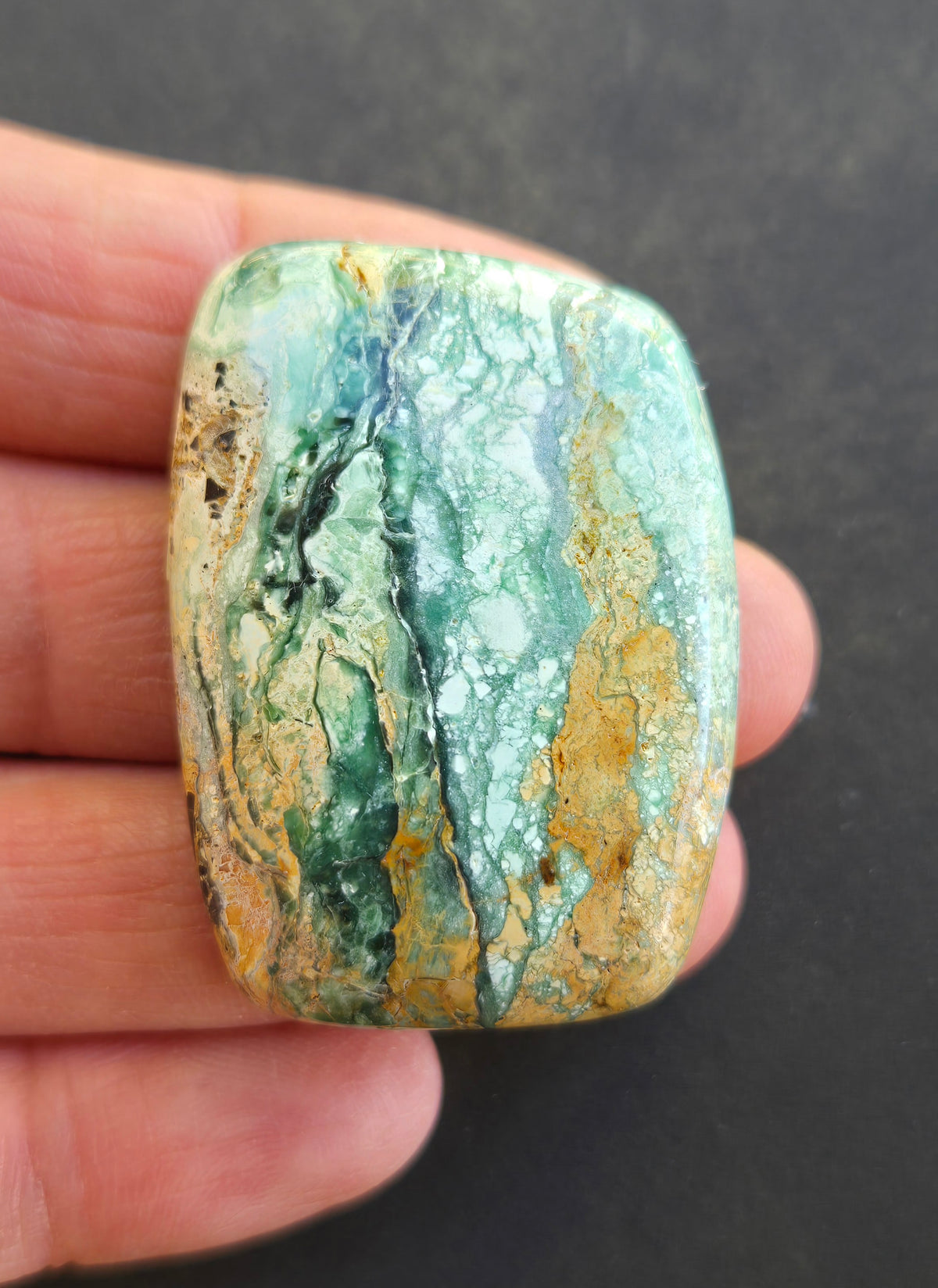 Mystic Sage Turquoise/Variscite Cabochon