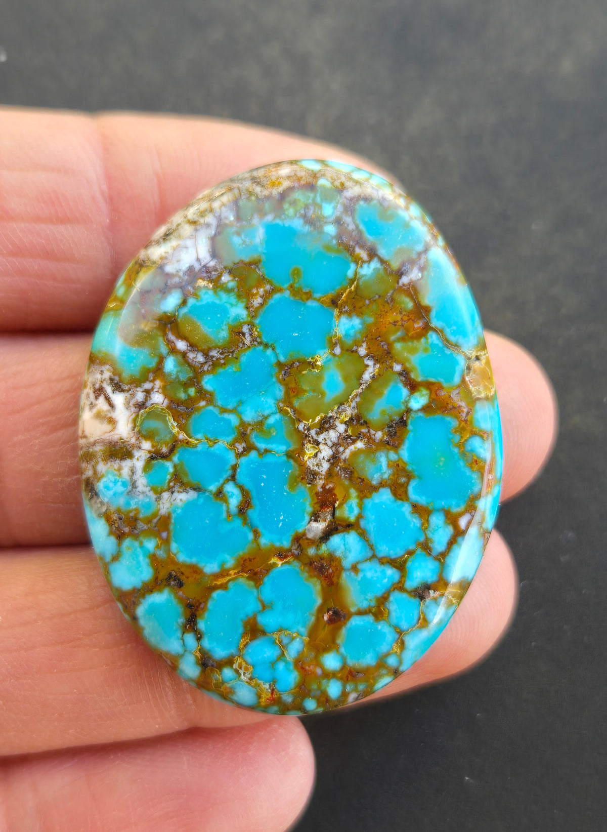 AAA Kingman Turquoise Mountain Red Web Cabochon