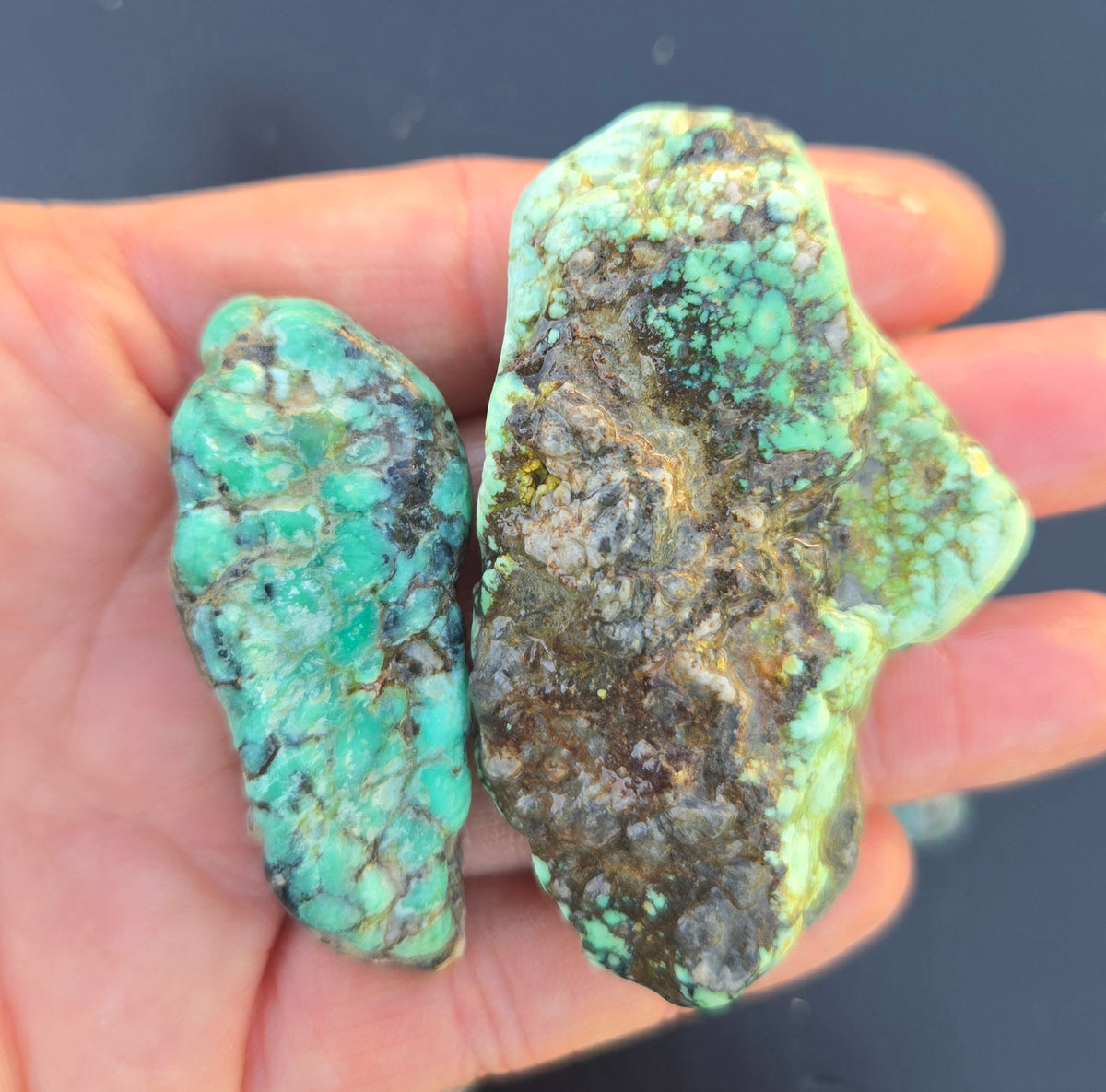 Blue Boy Variscite solid green rough for cabbing - Natural Nevada Variscite- 155 grams