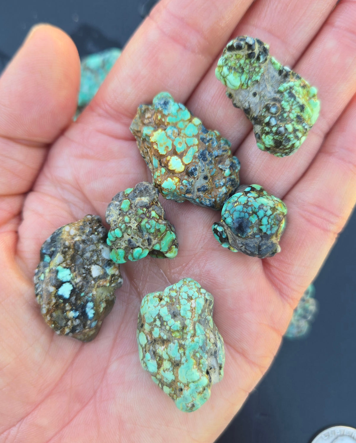 Blue Boy Variscite solid green rough for cabbing - Natural Nevada Variscite- 155 grams