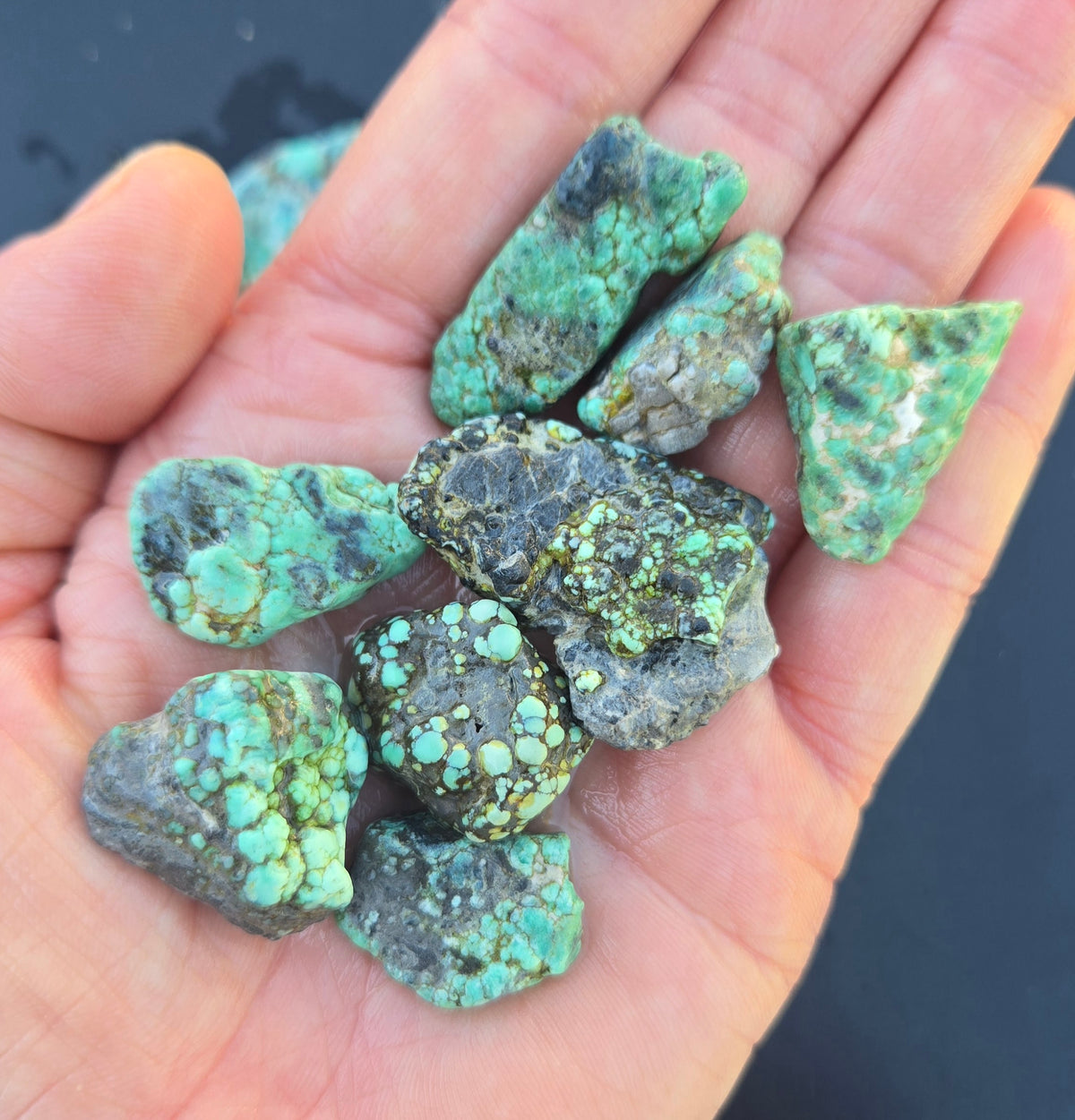 Blue Boy Variscite solid green rough for cabbing - Natural Nevada Variscite- 155 grams