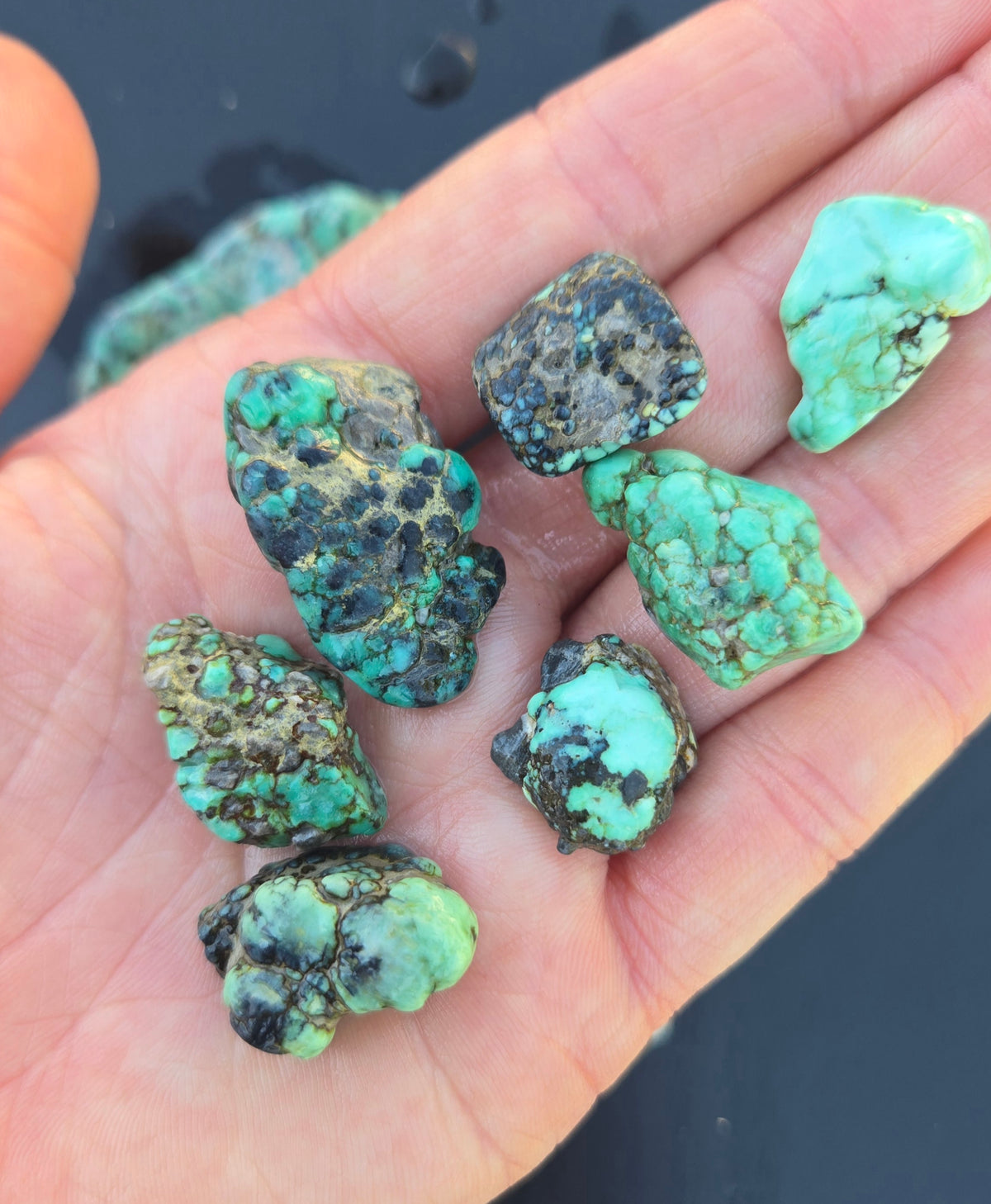 Blue Boy Variscite solid green rough for cabbing - Natural Nevada Variscite- 155 grams
