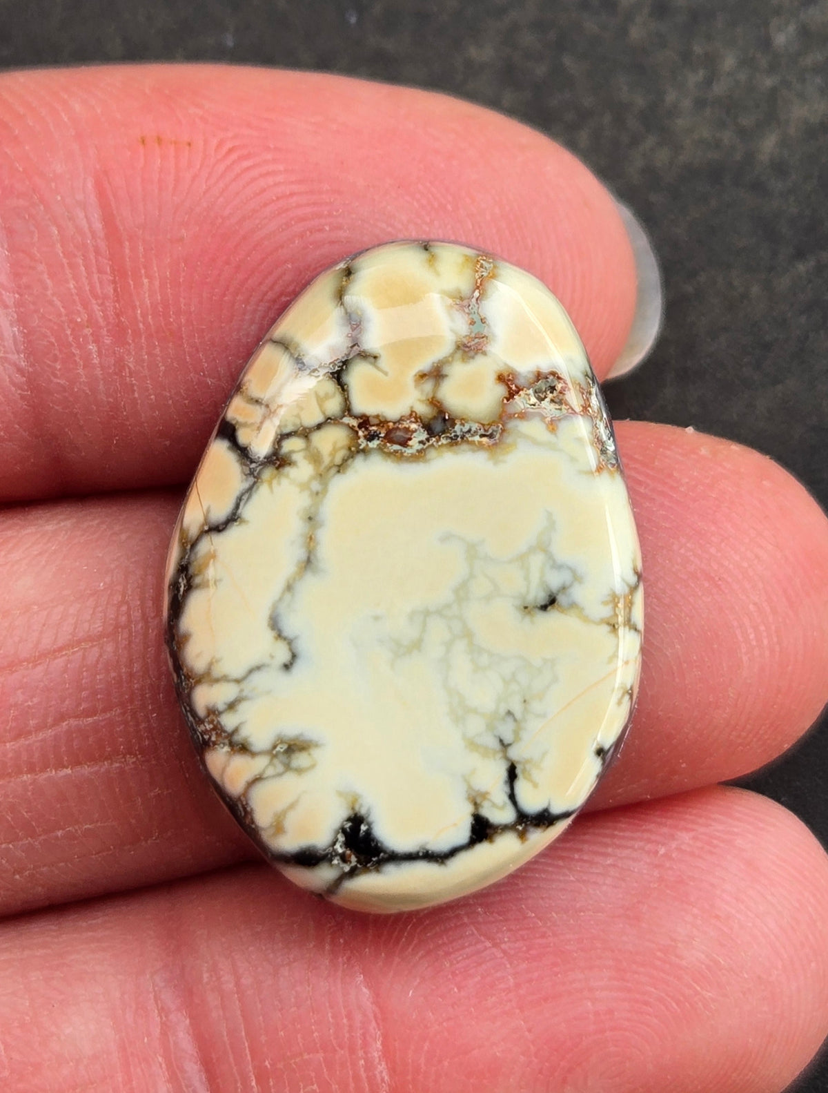 Saguaro Variscite Cabochon