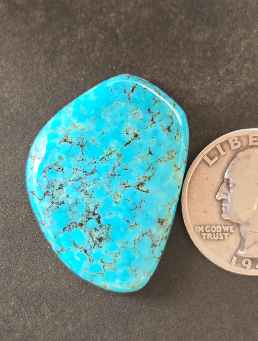 AAA Kingman Kaolin Turquoise Cabochon