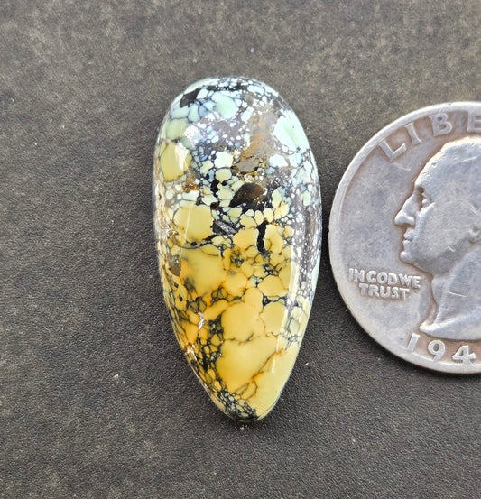 Gecko Variscite Cabochon