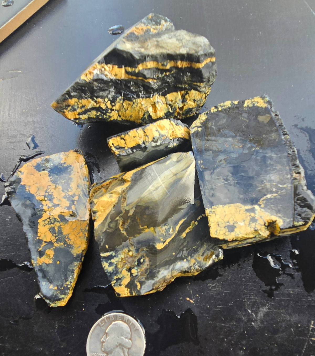 Desert Treasure Variscite rough for cabbing - Solid Yellow Natural Nevada Variscite- 448 grams