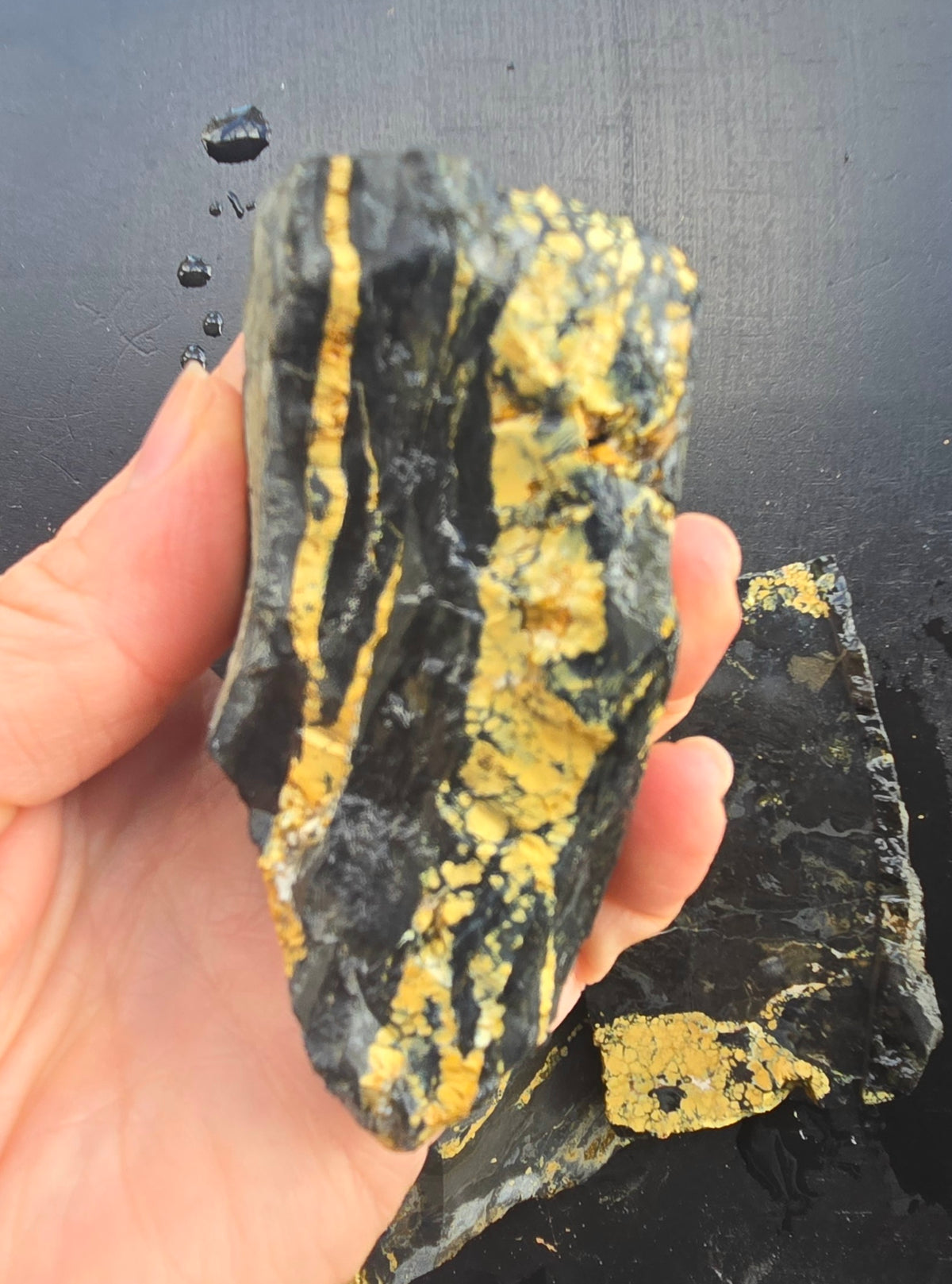 Desert Treasure Variscite rough for cabbing - Solid Yellow Natural Nevada Variscite- 448 grams