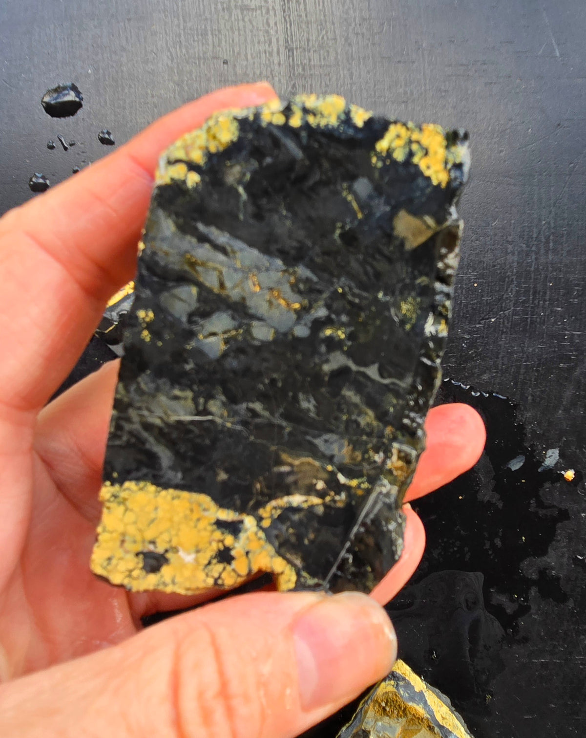 Desert Treasure Variscite rough for cabbing - Solid Yellow Natural Nevada Variscite- 448 grams