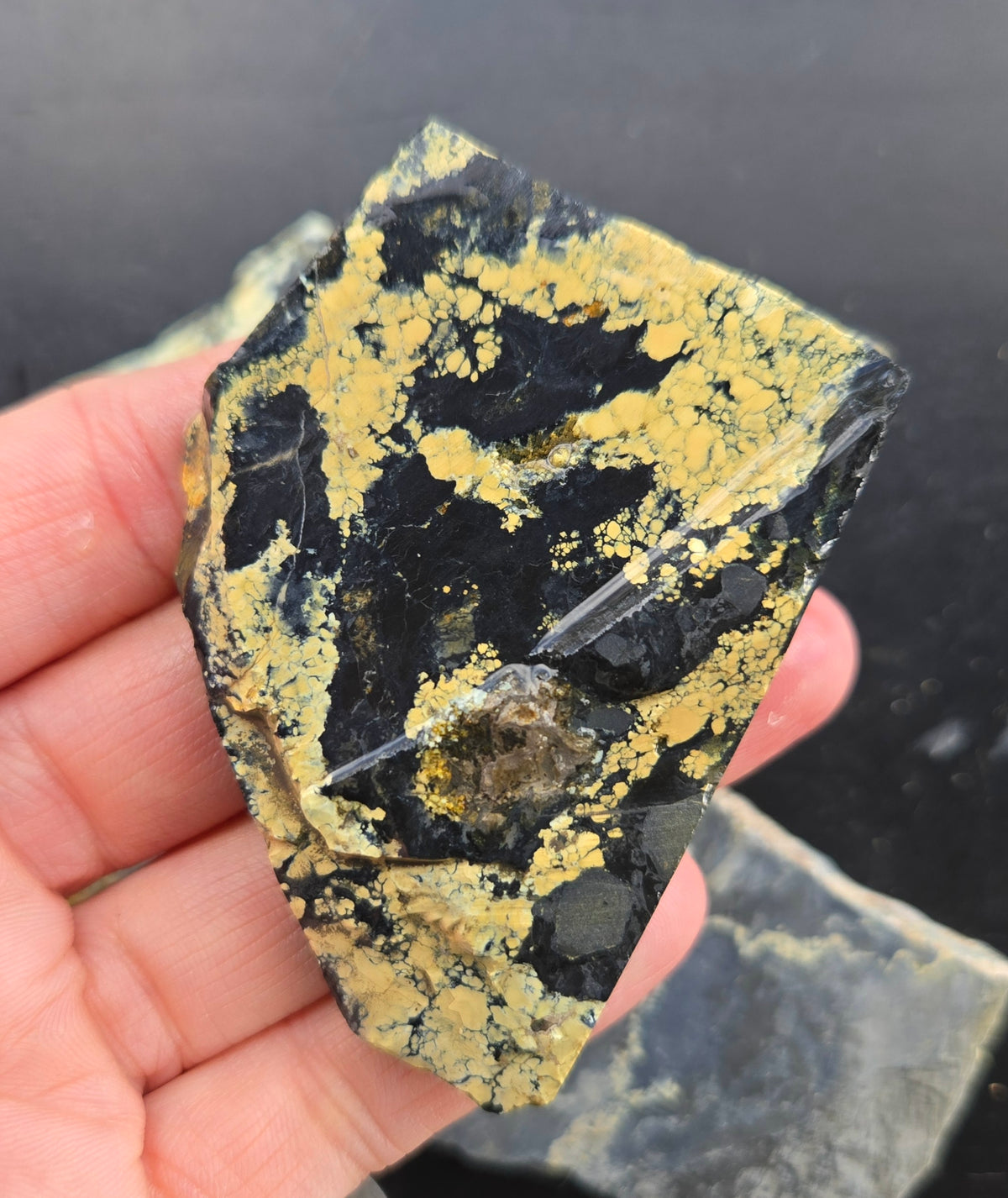 Desert Treasure Variscite rough for cabbing - Solid Yellow Natural Nevada Variscite- 224 grams