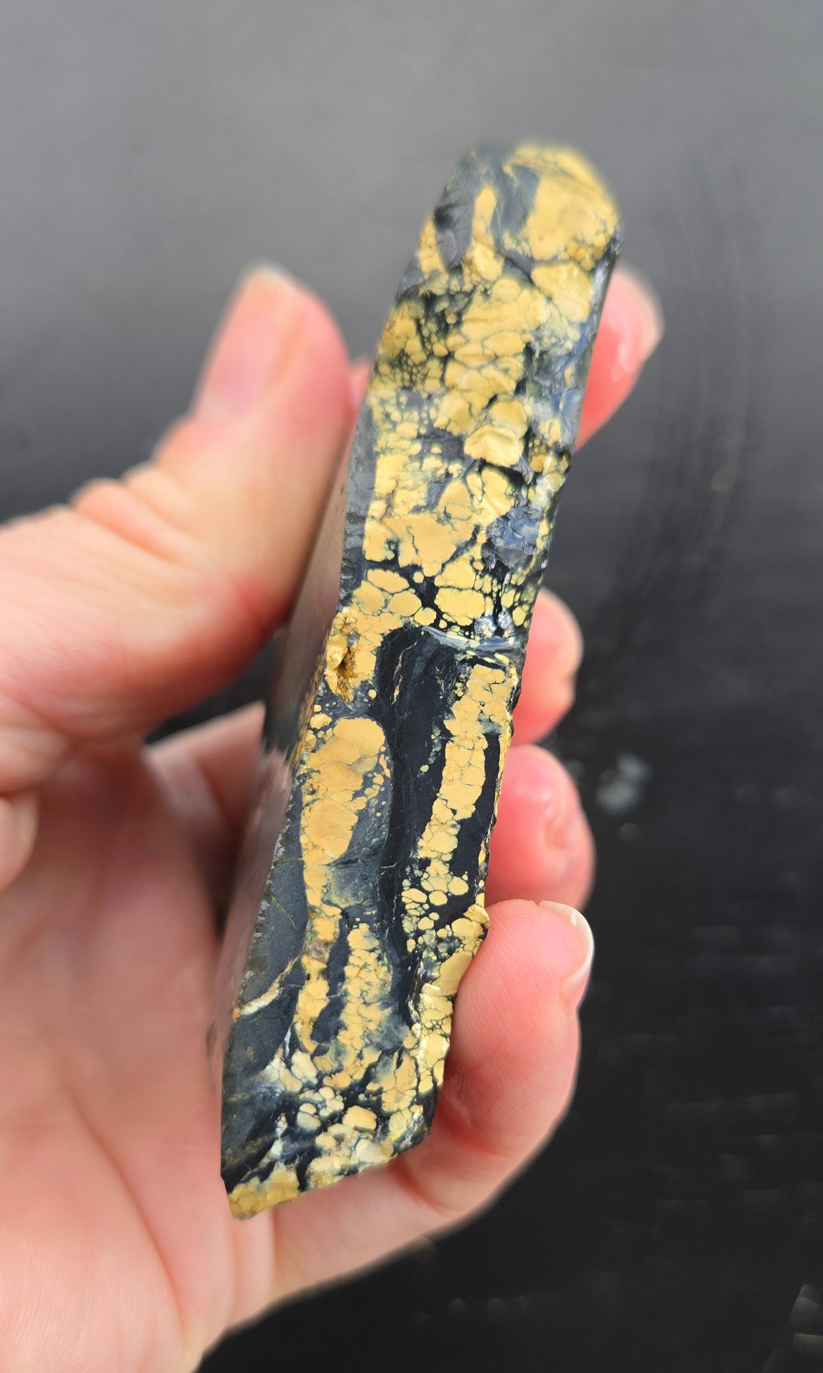 Desert Treasure Variscite rough for cabbing - Solid Yellow Natural Nevada Variscite- 112 grams