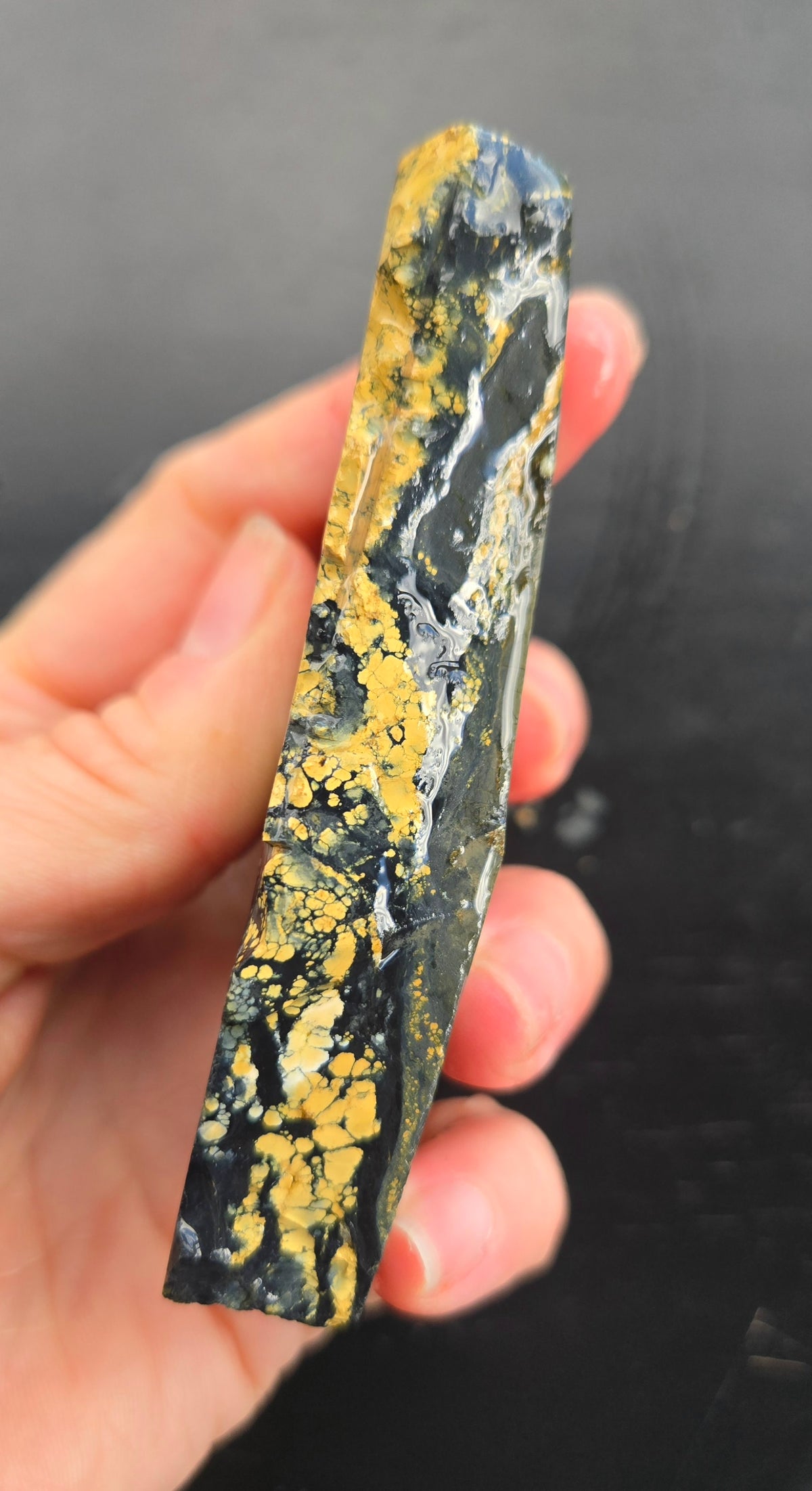 Desert Treasure Variscite rough for cabbing - Solid Yellow Natural Nevada Variscite- 112 grams