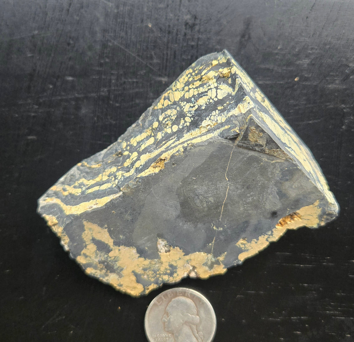 Desert Treasure Variscite rough for cabbing - Solid Yellow Natural Nevada Variscite- 150 grams