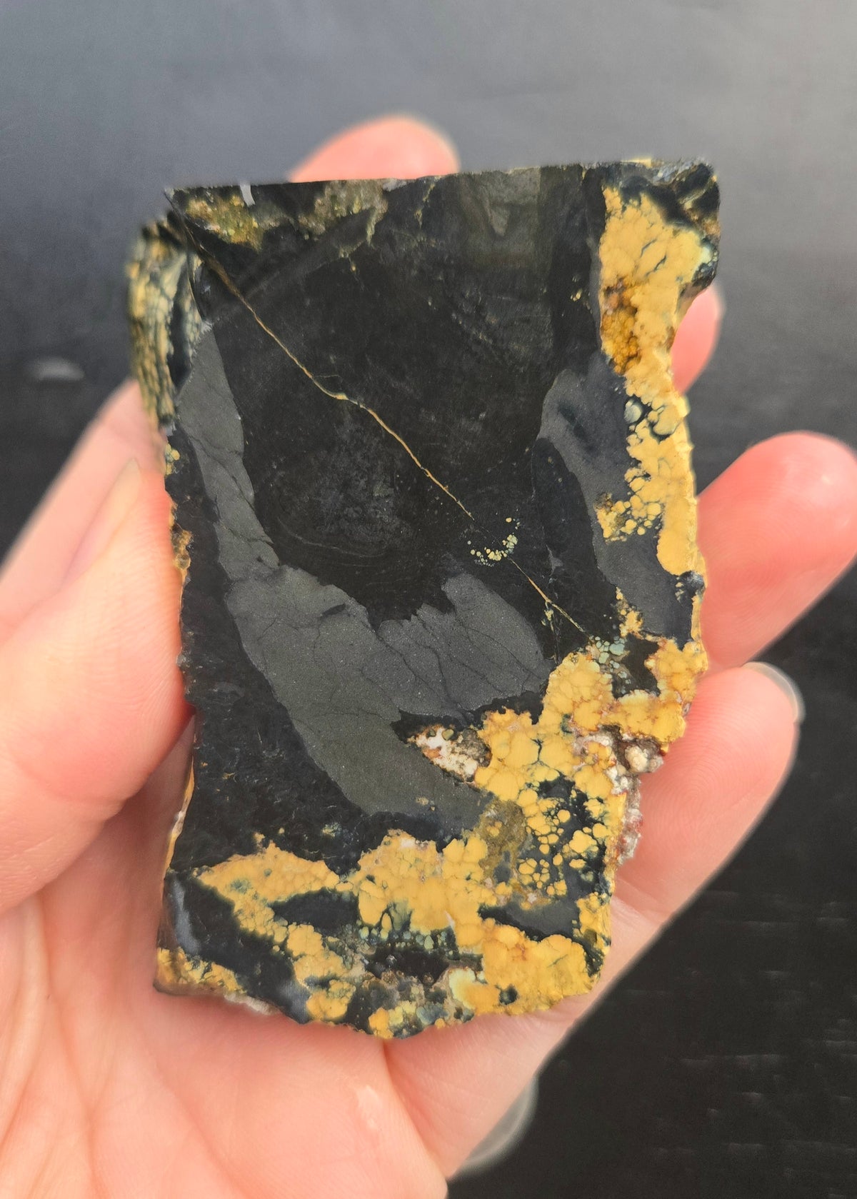 Desert Treasure Variscite rough for cabbing - Solid Yellow Natural Nevada Variscite- 150 grams