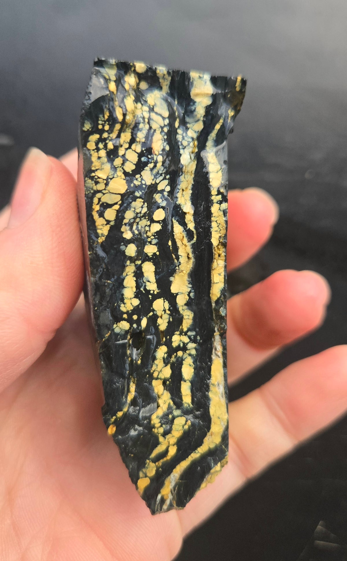 Desert Treasure Variscite rough for cabbing - Solid Yellow Natural Nevada Variscite- 150 grams