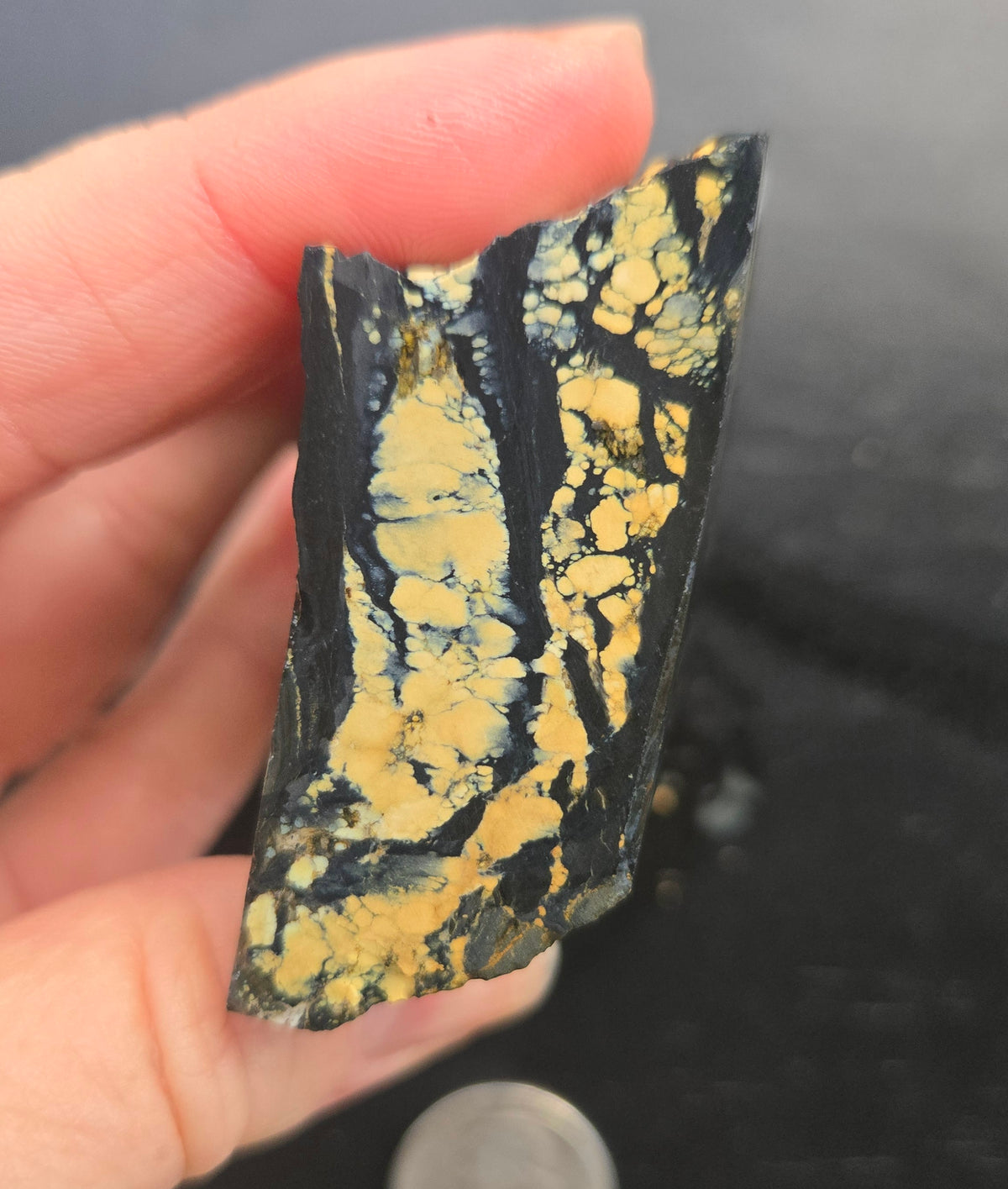 Desert Treasure Variscite rough for cabbing - Solid Yellow Natural Nevada Variscite- 150 grams