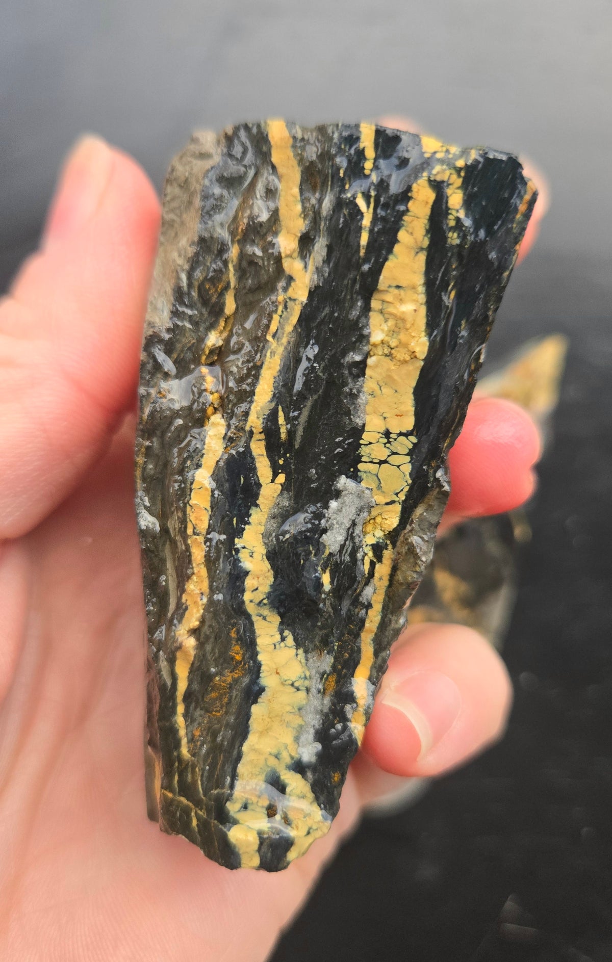 Desert Treasure Variscite rough for cabbing - Solid Yellow Natural Nevada Variscite- 260 grams