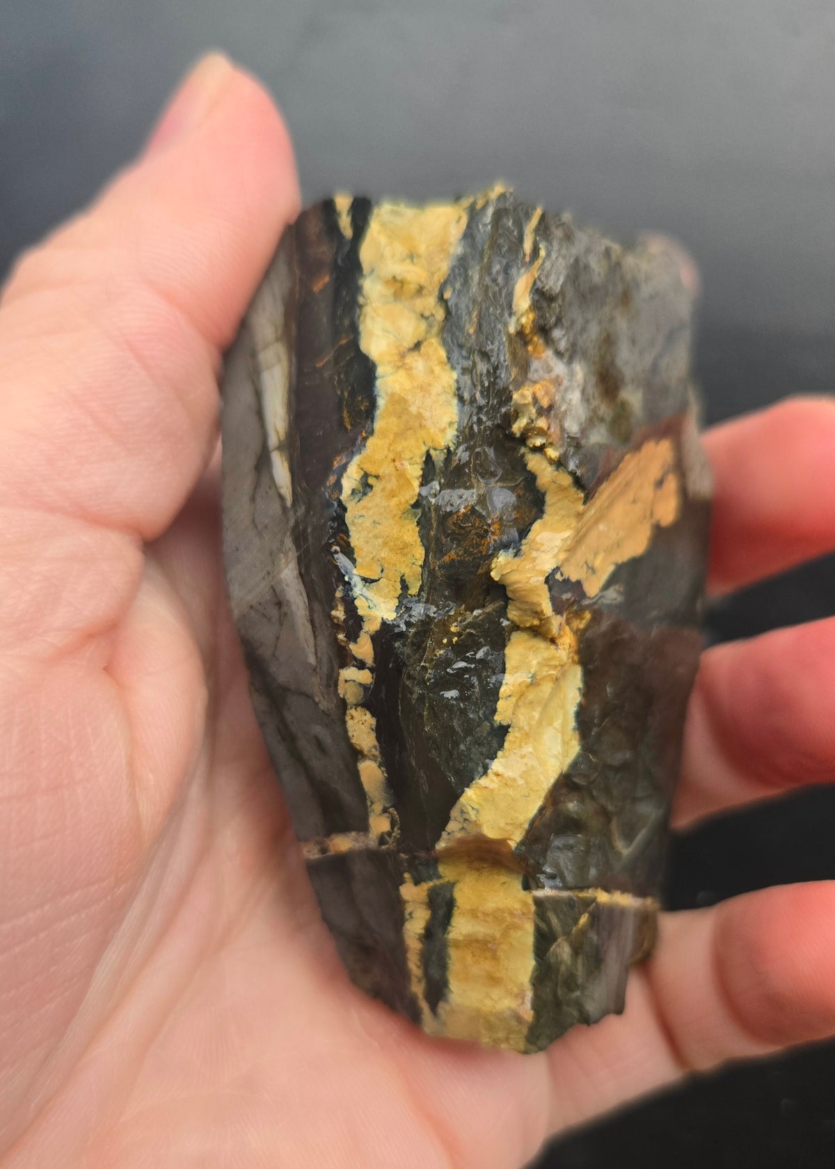 Desert Treasure Variscite rough for cabbing - Solid Yellow Natural Nevada Variscite- 260 grams