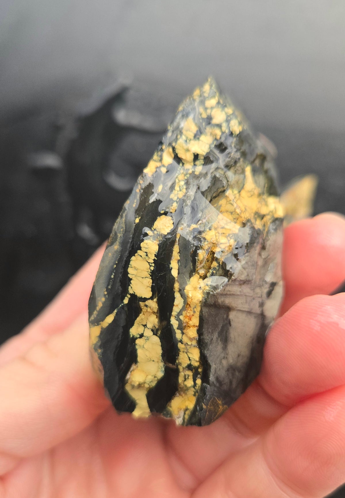 Desert Treasure Variscite rough for cabbing - Solid Yellow Natural Nevada Variscite- 260 grams