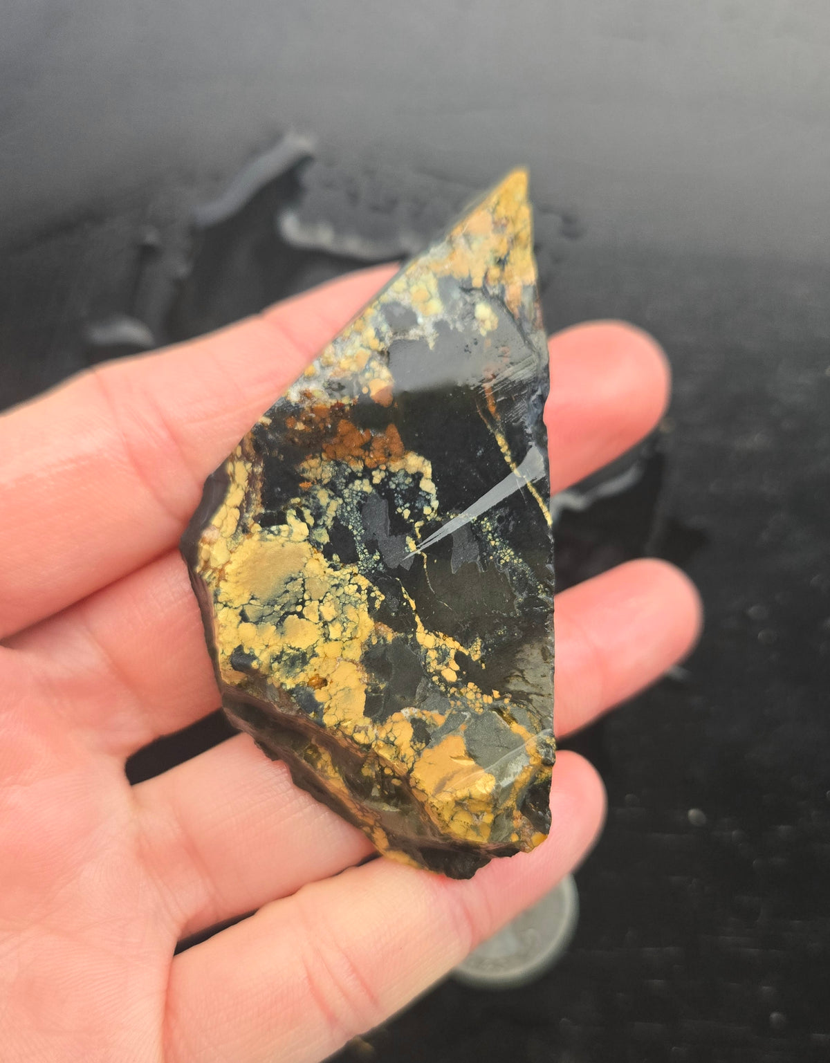 Desert Treasure Variscite rough for cabbing - Solid Yellow Natural Nevada Variscite- 260 grams