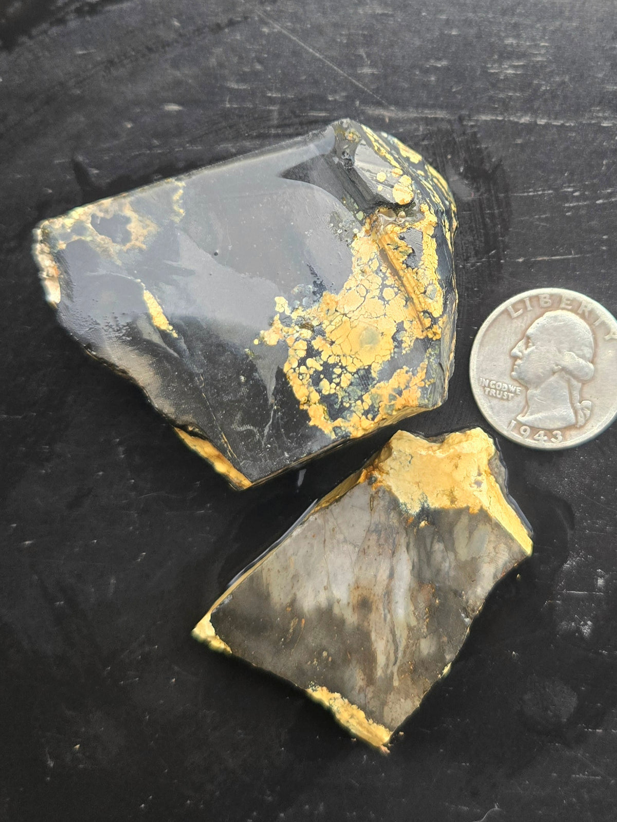 Desert Treasure Variscite rough for cabbing - Solid Yellow Natural Nevada Variscite- 100 grams