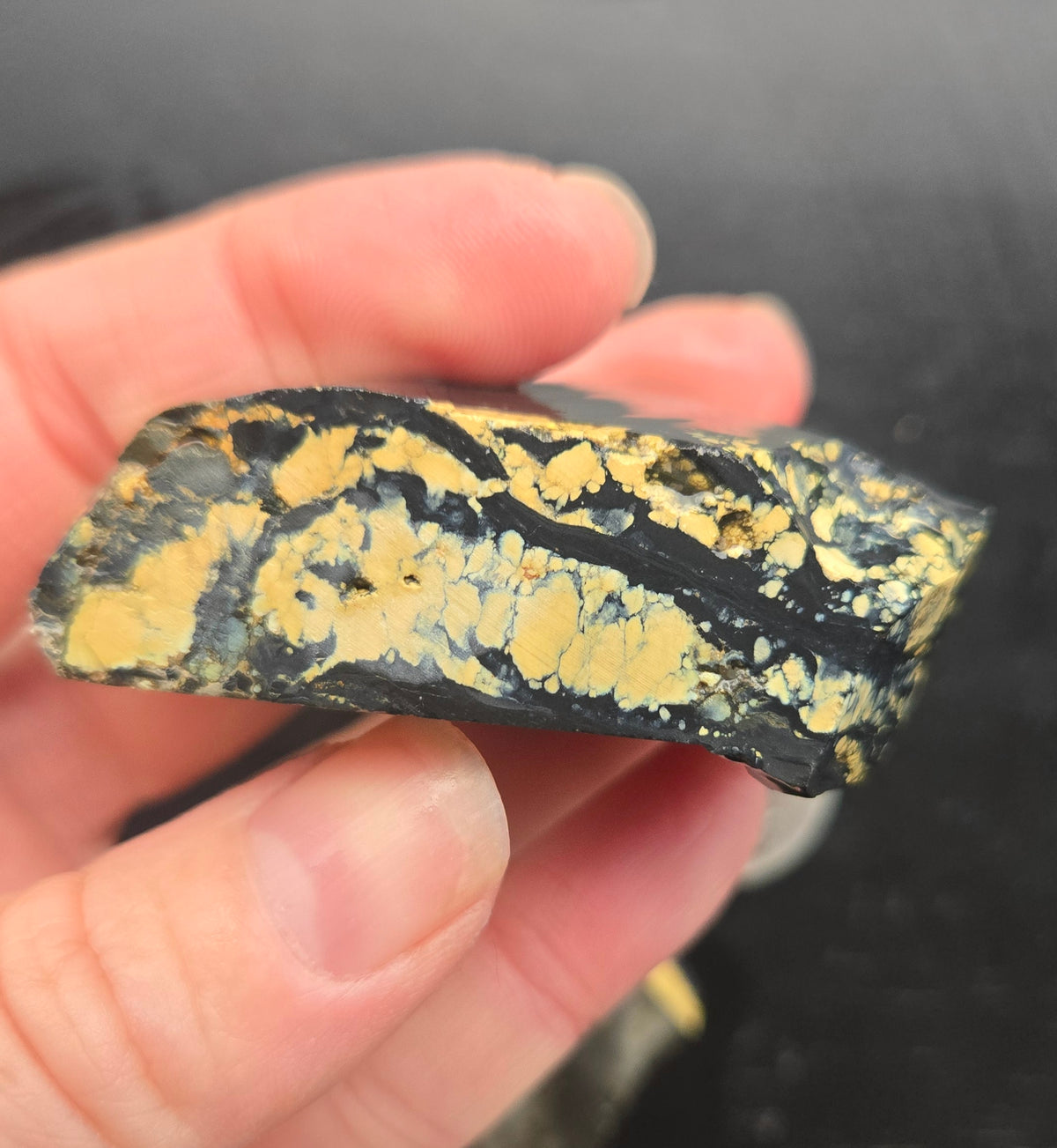 Desert Treasure Variscite rough for cabbing - Solid Yellow Natural Nevada Variscite- 100 grams