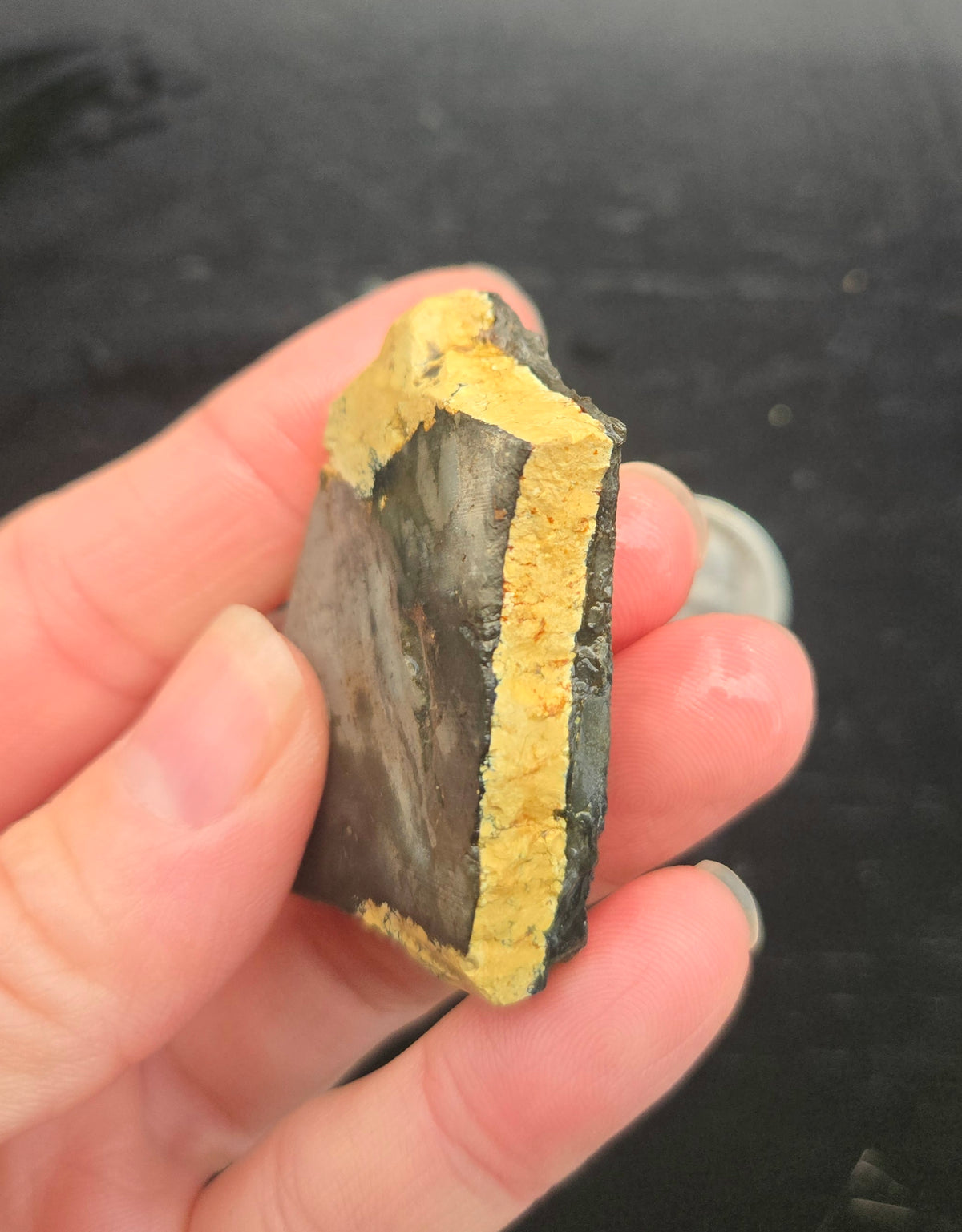 Desert Treasure Variscite rough for cabbing - Solid Yellow Natural Nevada Variscite- 100 grams