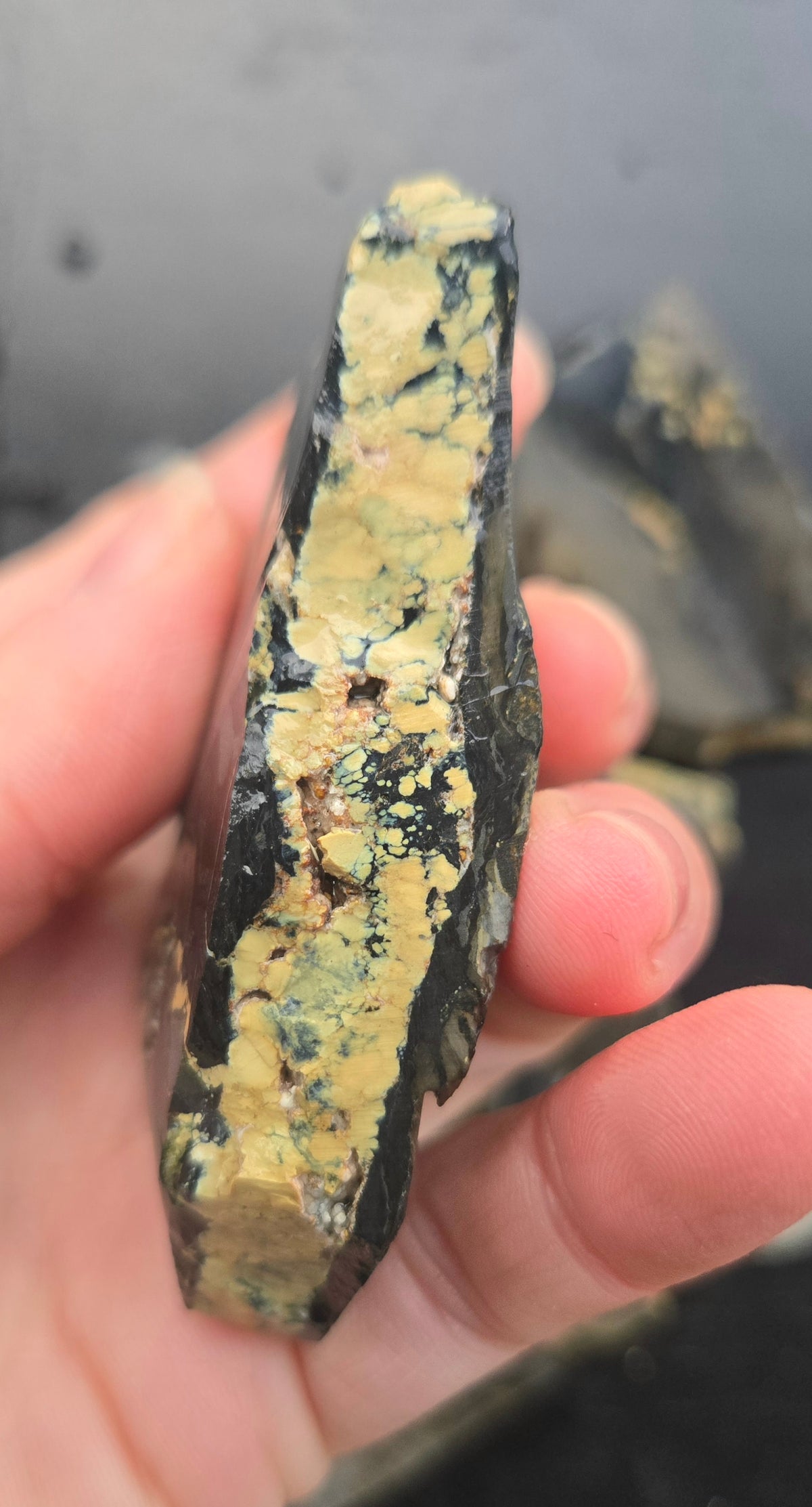 Desert Treasure Variscite rough for cabbing - Solid Yellow Natural Nevada Variscite- 224 grams