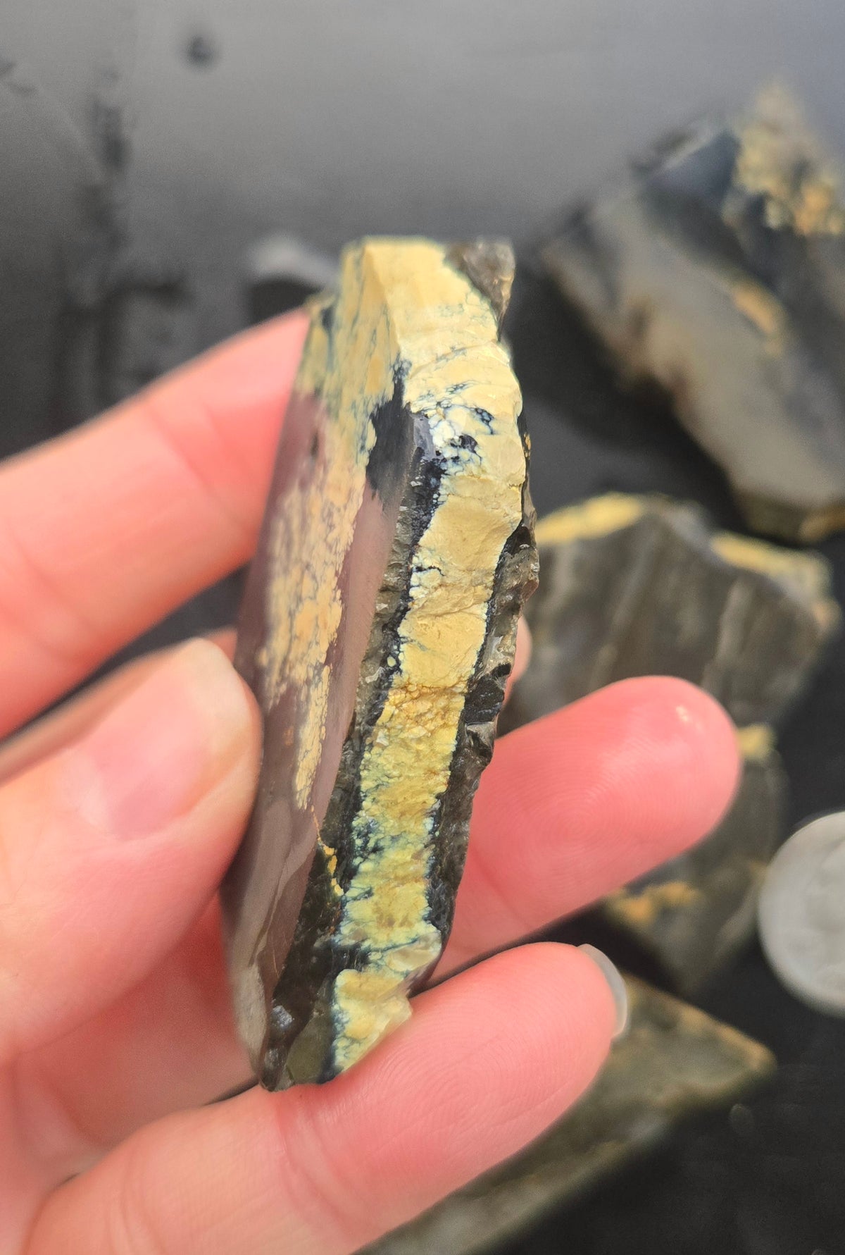 Desert Treasure Variscite rough for cabbing - Solid Yellow Natural Nevada Variscite- 224 grams