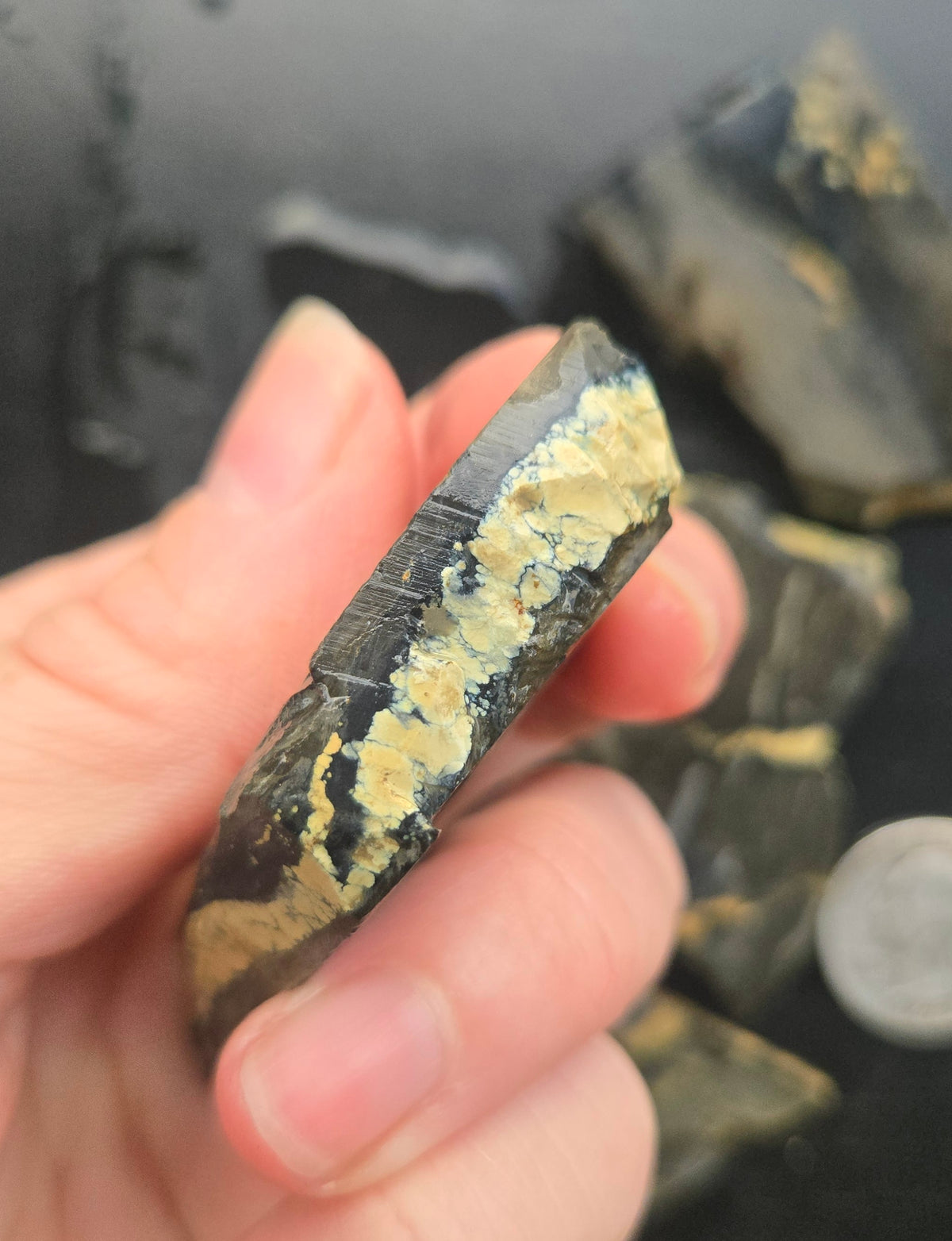 Desert Treasure Variscite rough for cabbing - Solid Yellow Natural Nevada Variscite- 224 grams