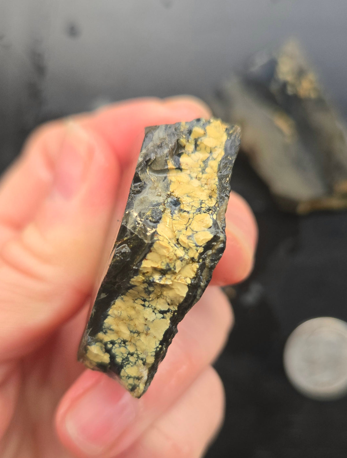 Desert Treasure Variscite rough for cabbing - Solid Yellow Natural Nevada Variscite- 224 grams