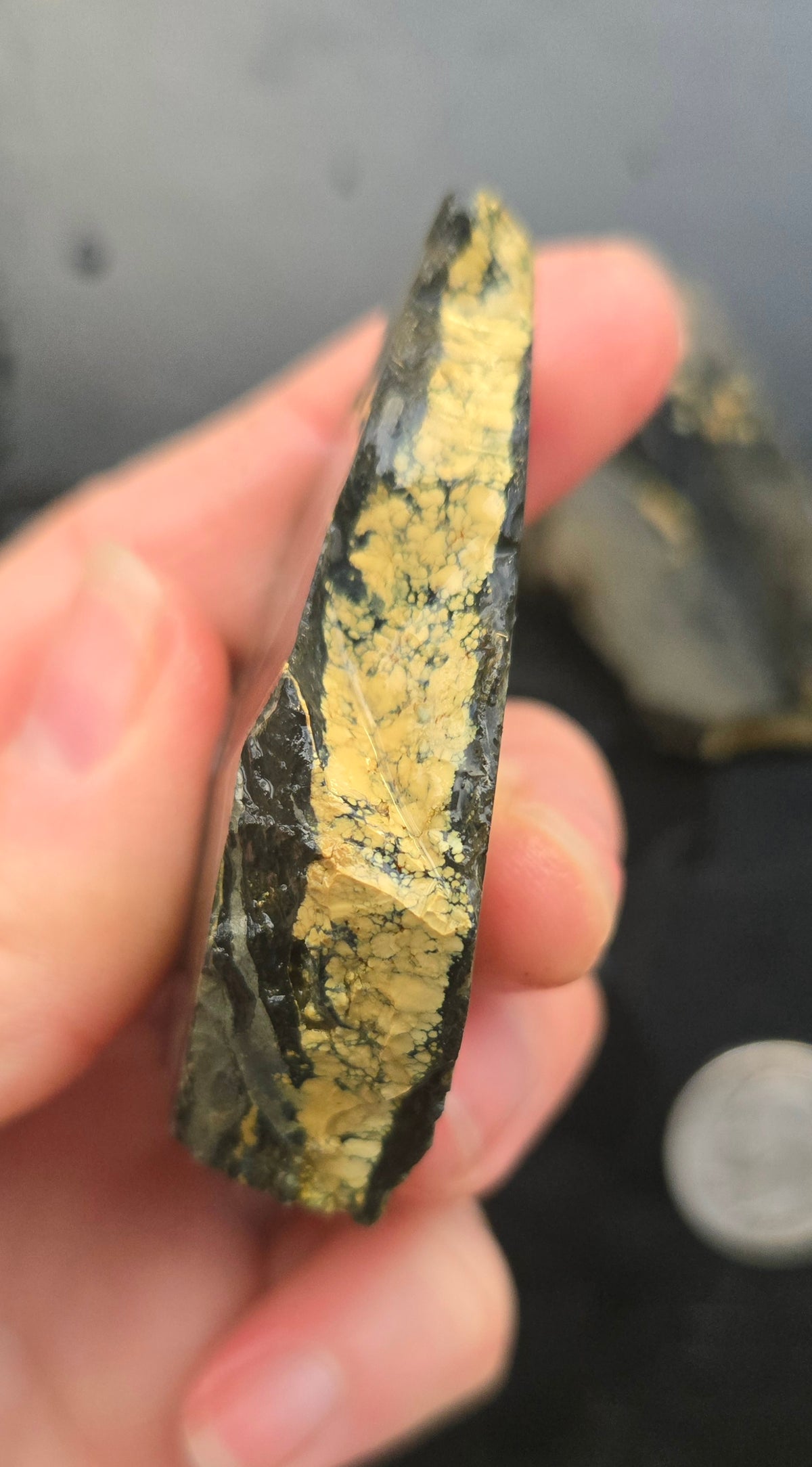 Desert Treasure Variscite rough for cabbing - Solid Yellow Natural Nevada Variscite- 224 grams