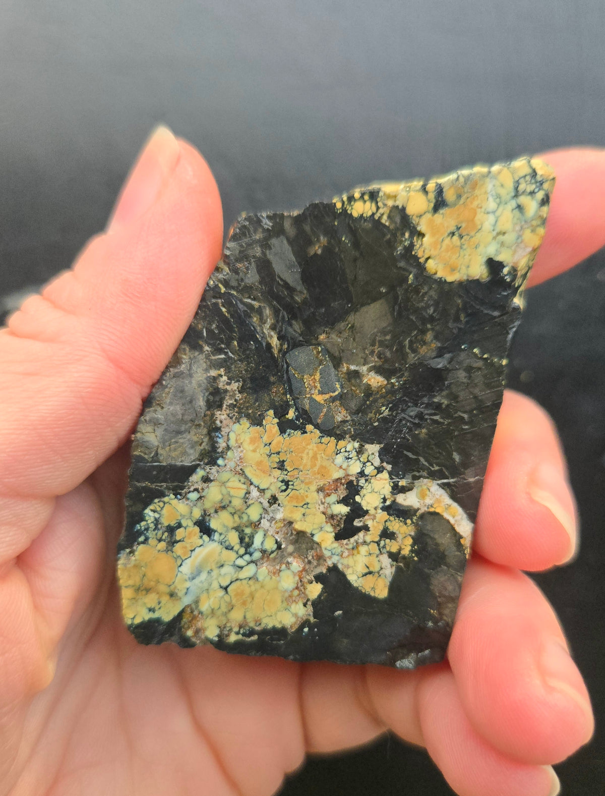 Desert Treasure Variscite rough for cabbing - Solid Yellow Natural Nevada Variscite- 100 grams