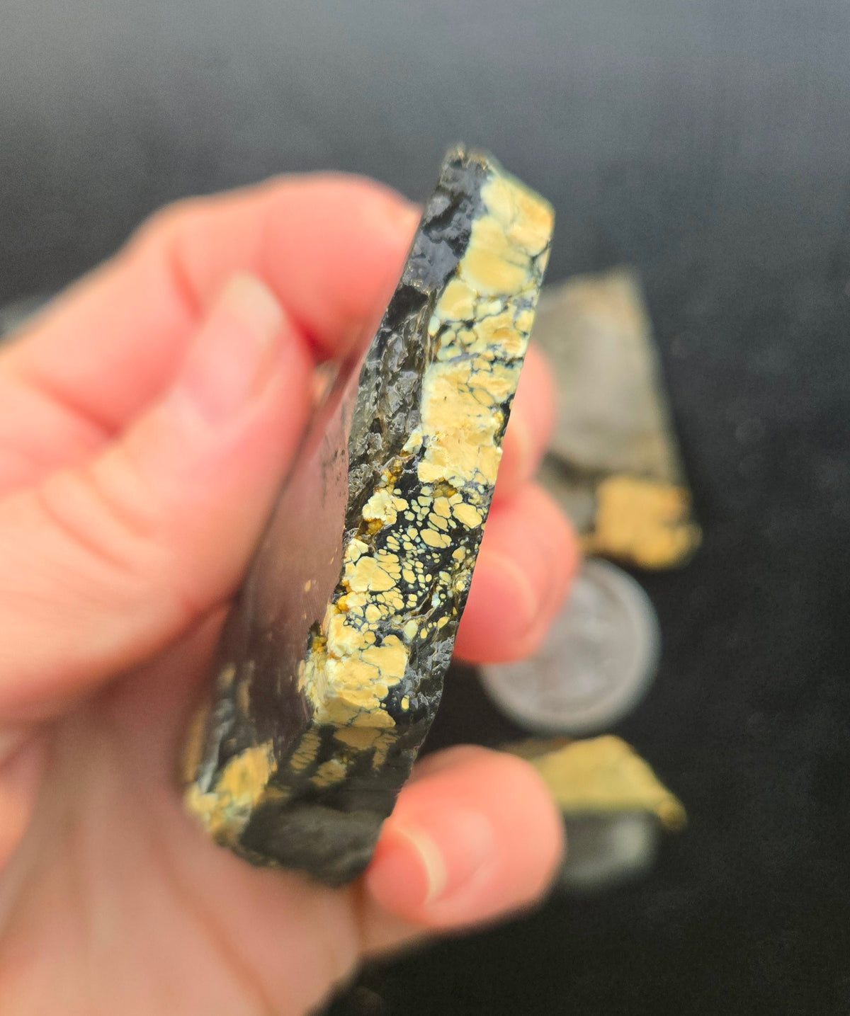Desert Treasure Variscite rough for cabbing - Solid Yellow Natural Nevada Variscite- 100 grams