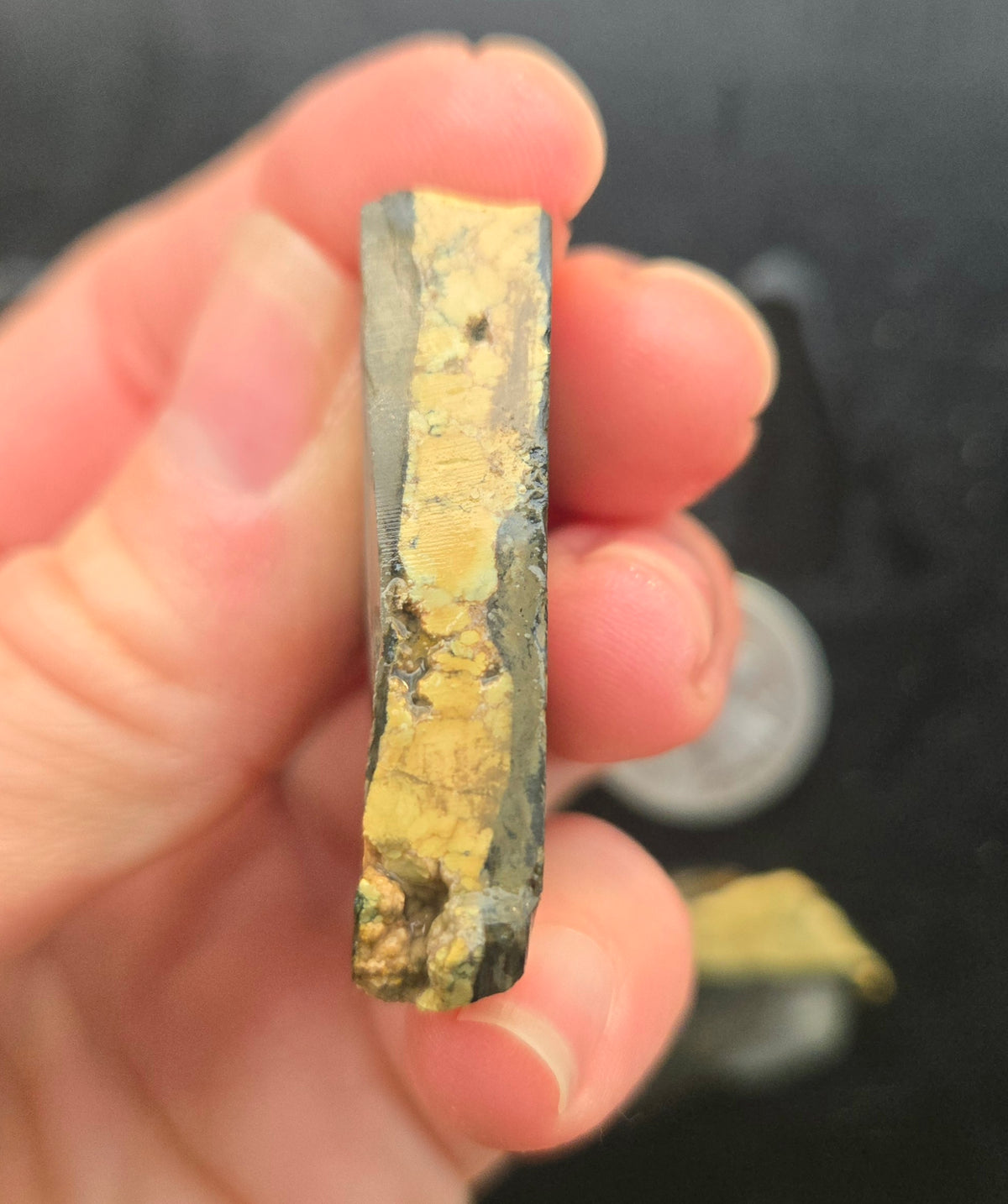 Desert Treasure Variscite rough for cabbing - Solid Yellow Natural Nevada Variscite- 100 grams