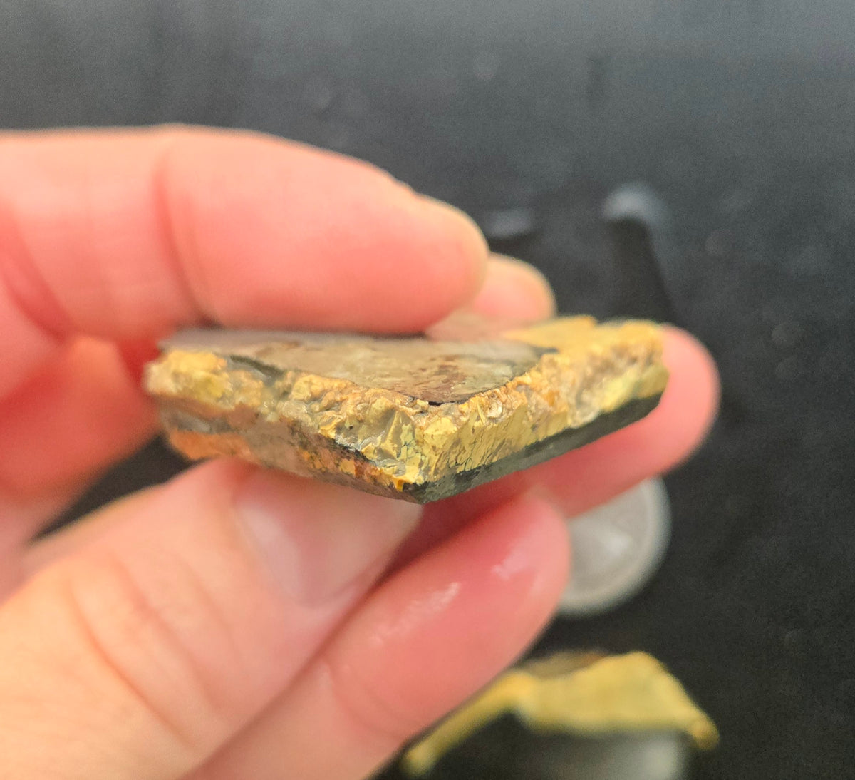 Desert Treasure Variscite rough for cabbing - Solid Yellow Natural Nevada Variscite- 100 grams