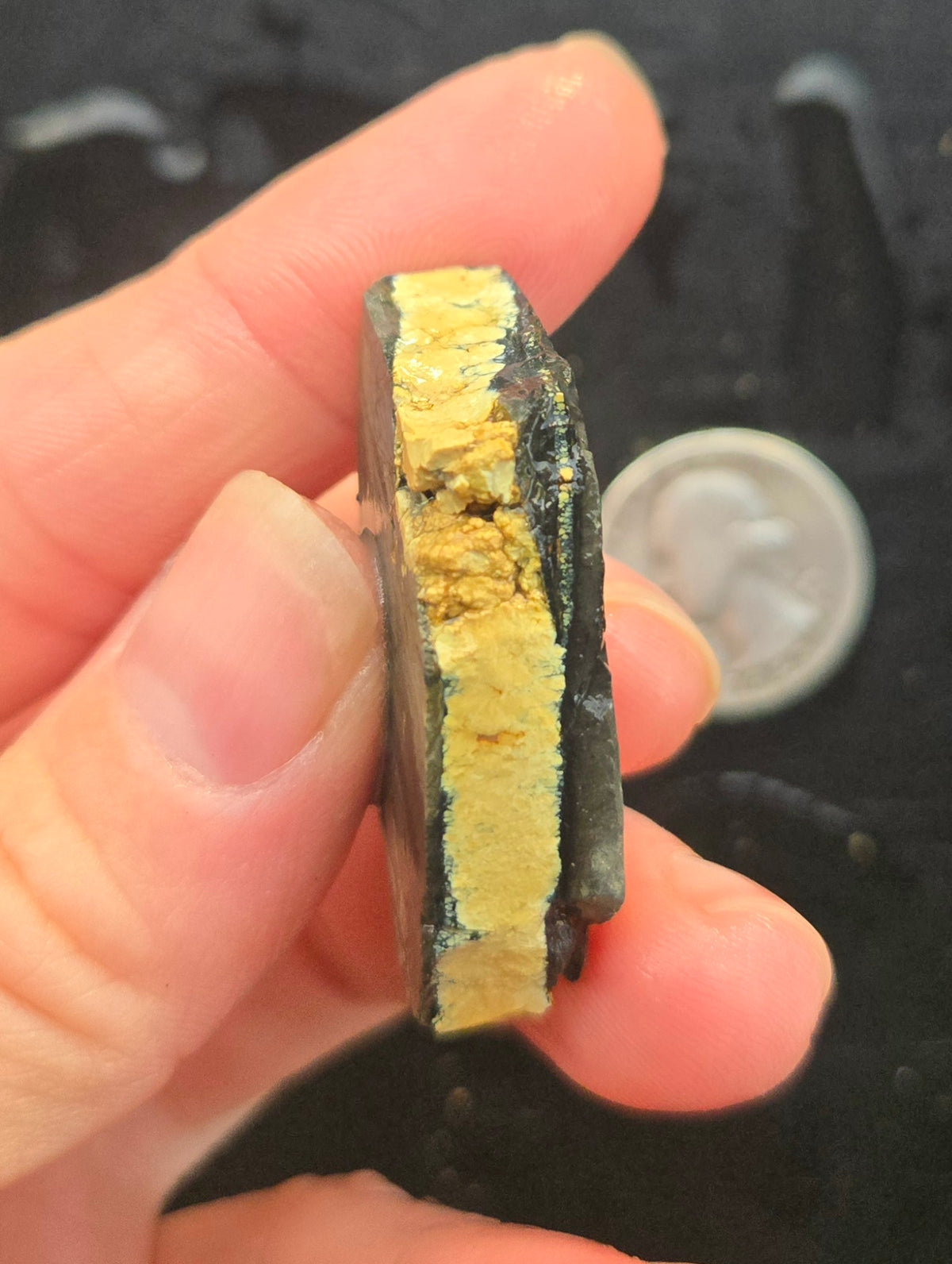 Desert Treasure Variscite rough for cabbing - Solid Yellow Natural Nevada Variscite- 100 grams