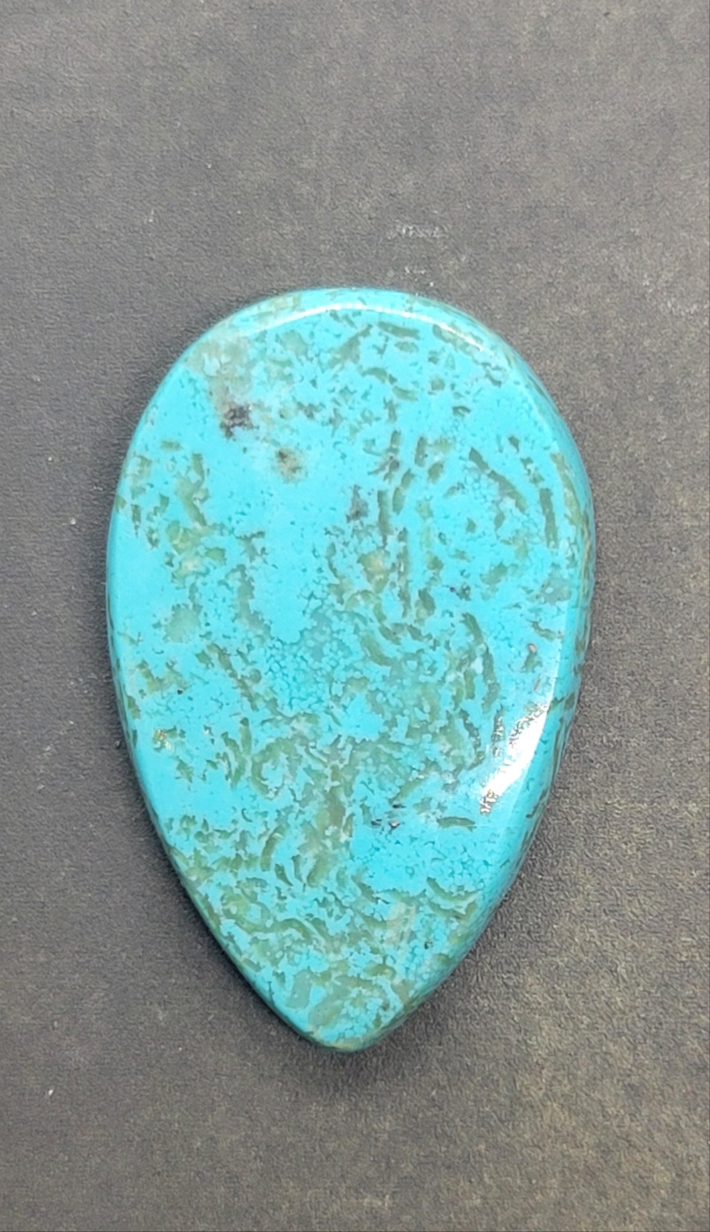 Ithaca Peak Turquoise Cabochon