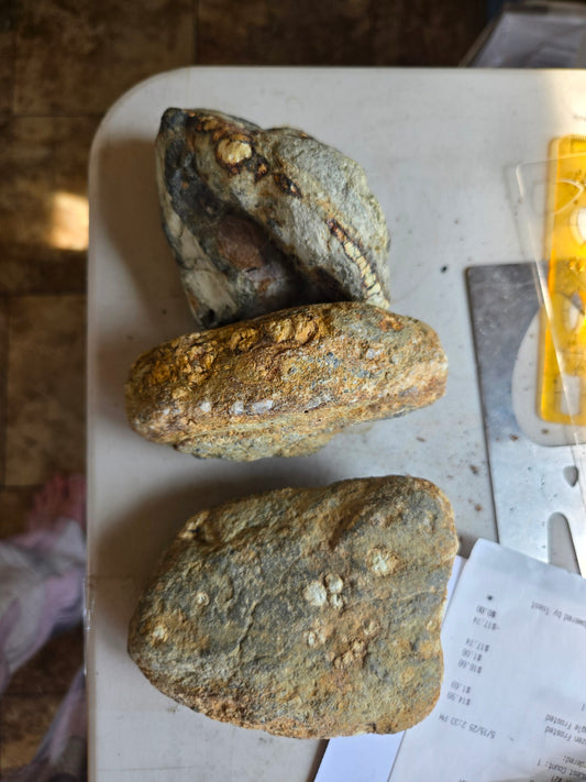 Custom for Emily -Seven Dwarfs Variscite/Turquoise 7D rough for cabbing - Nevada Variscite - 1.4 kilos