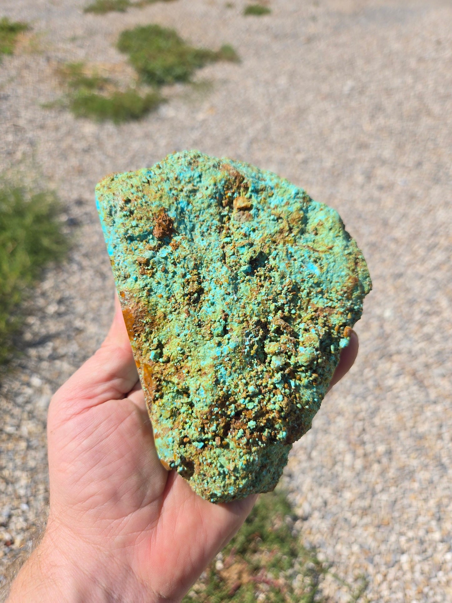 Patagonia Turquoise rough for cabbing - 639 grams