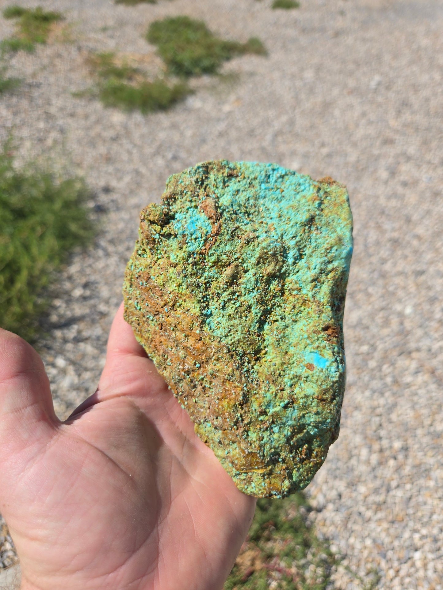 Patagonia Turquoise rough for cabbing - 639 grams