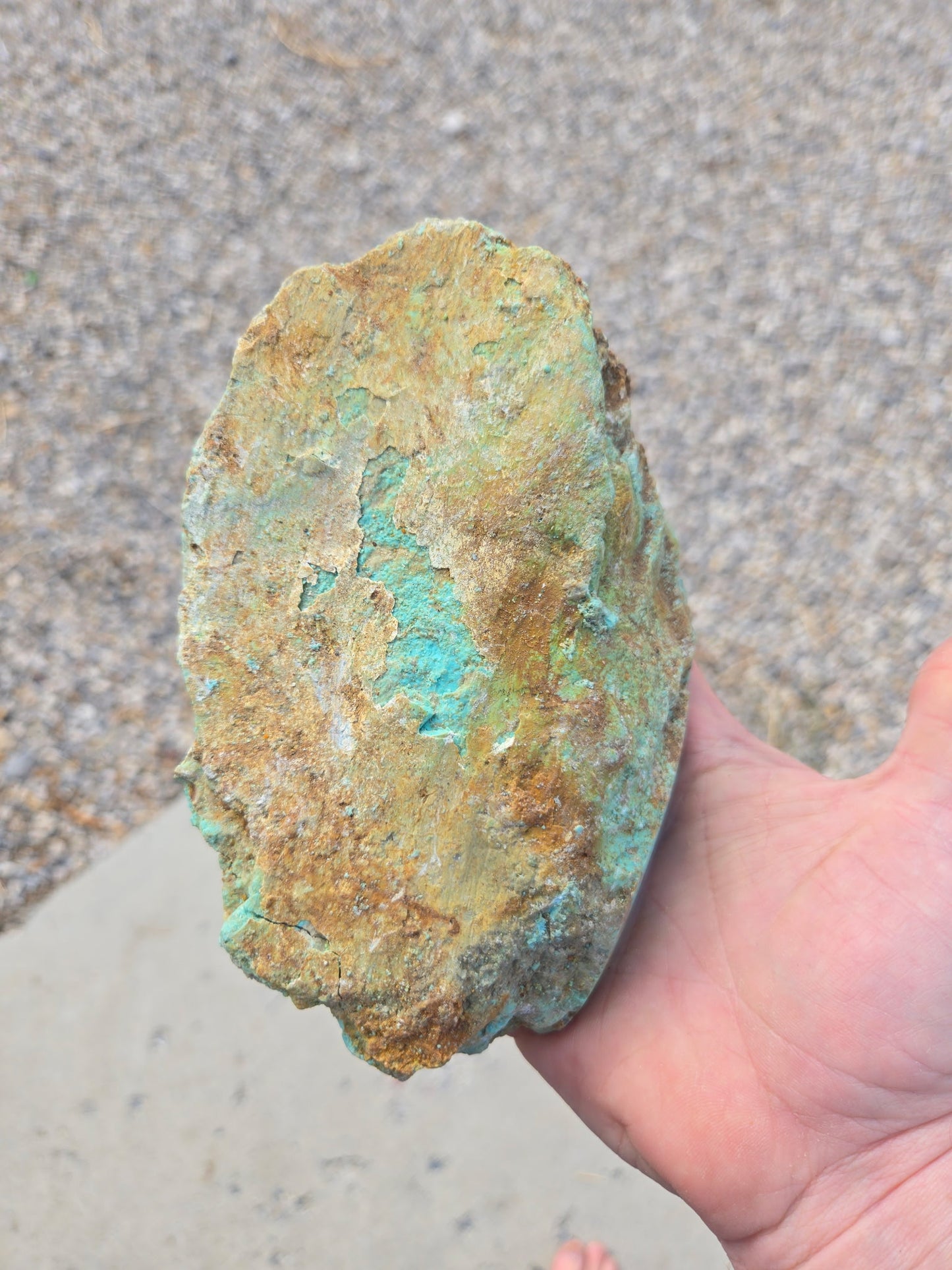 Patagonia Turquoise rough for cabbing - 778 grams