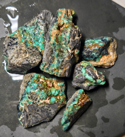Blue Boy Variscite/Turquoise rough for cabbing - Natural Nevada Variscite - 224 gram lot 1