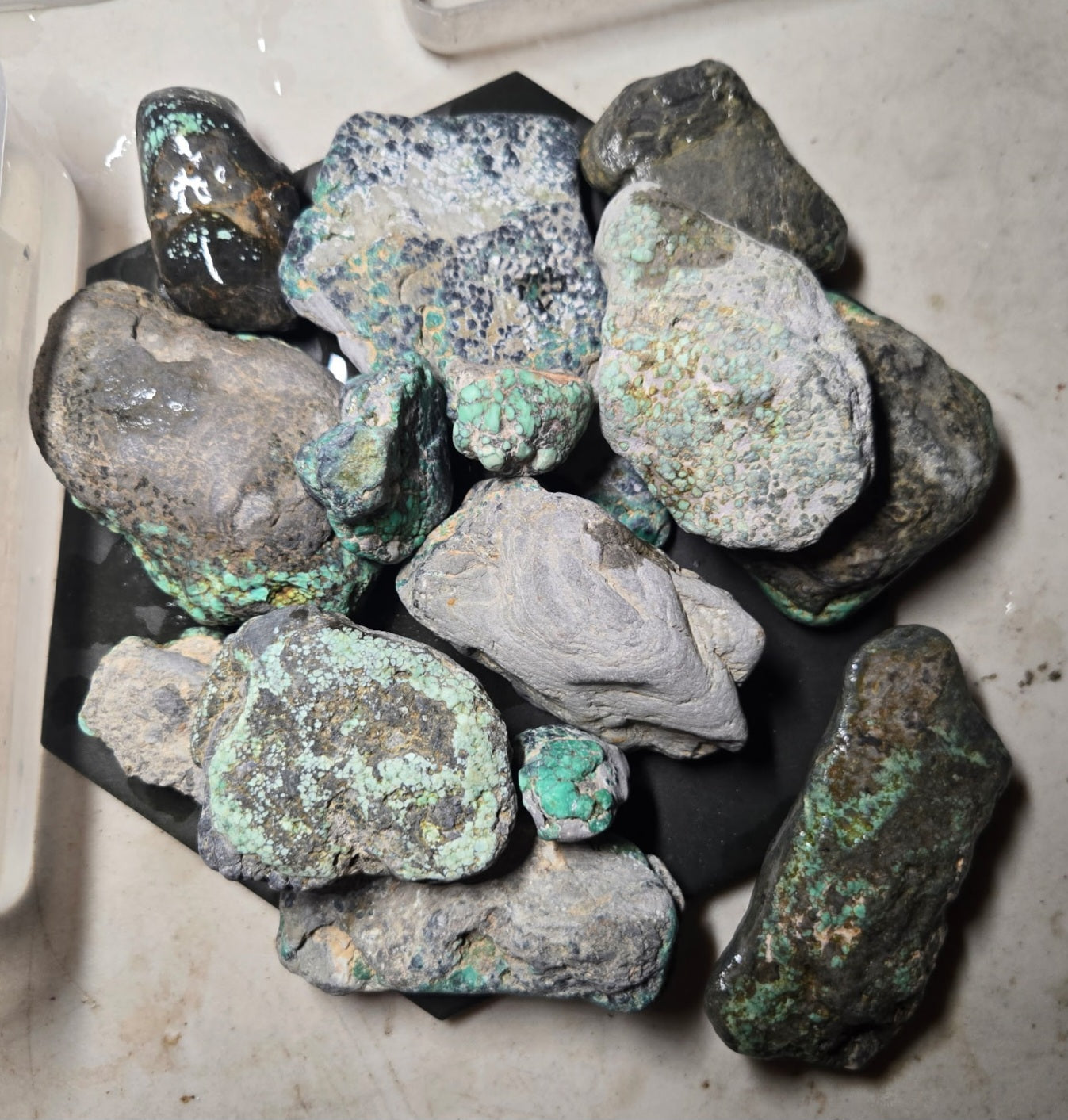 Blue Boy Variscite/Turquoise rough for cabbing - Natural Nevada Variscite - 1000 gram lot 1